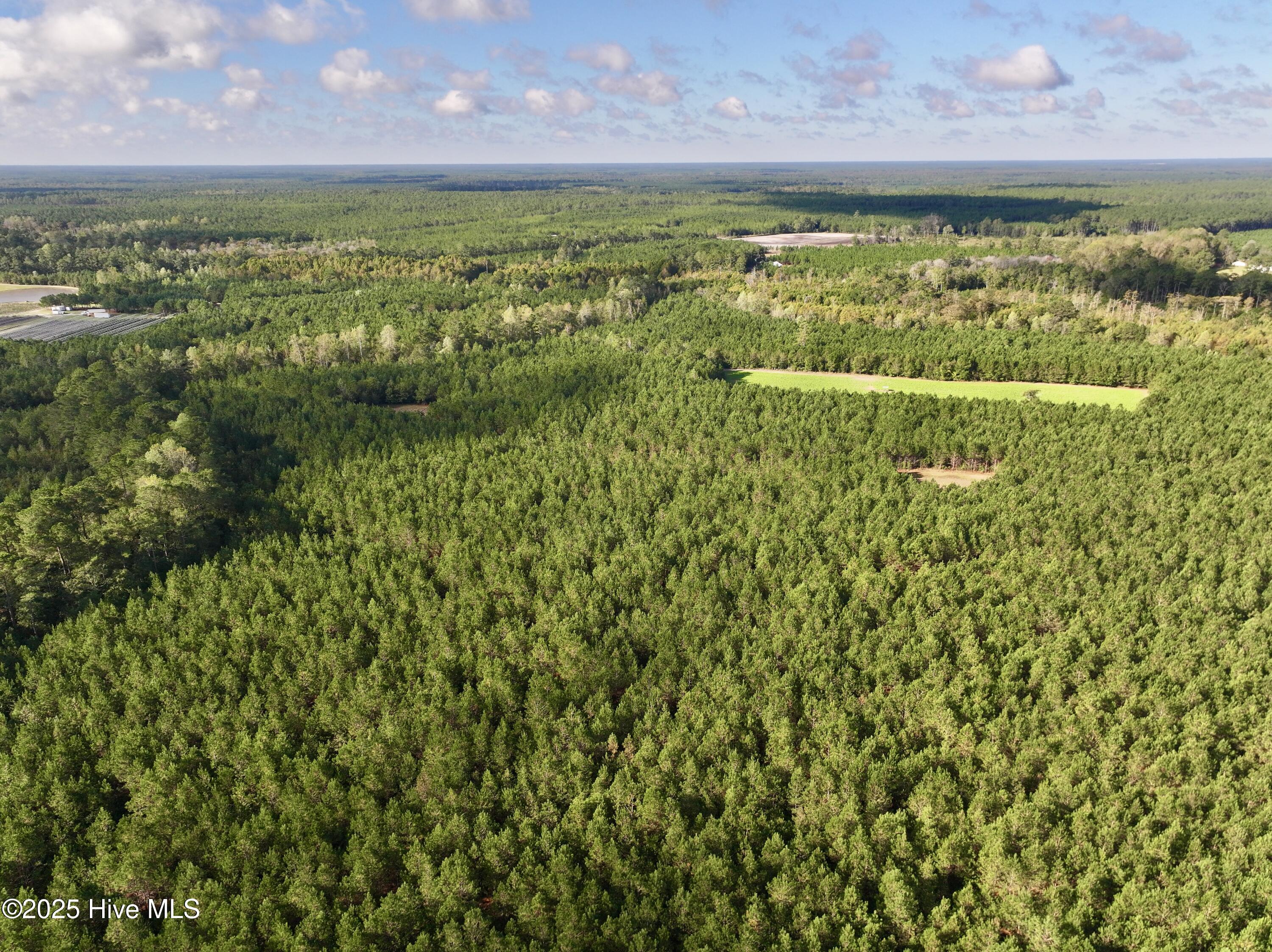 0 Atkinson Cemetery Road Property Photo 67