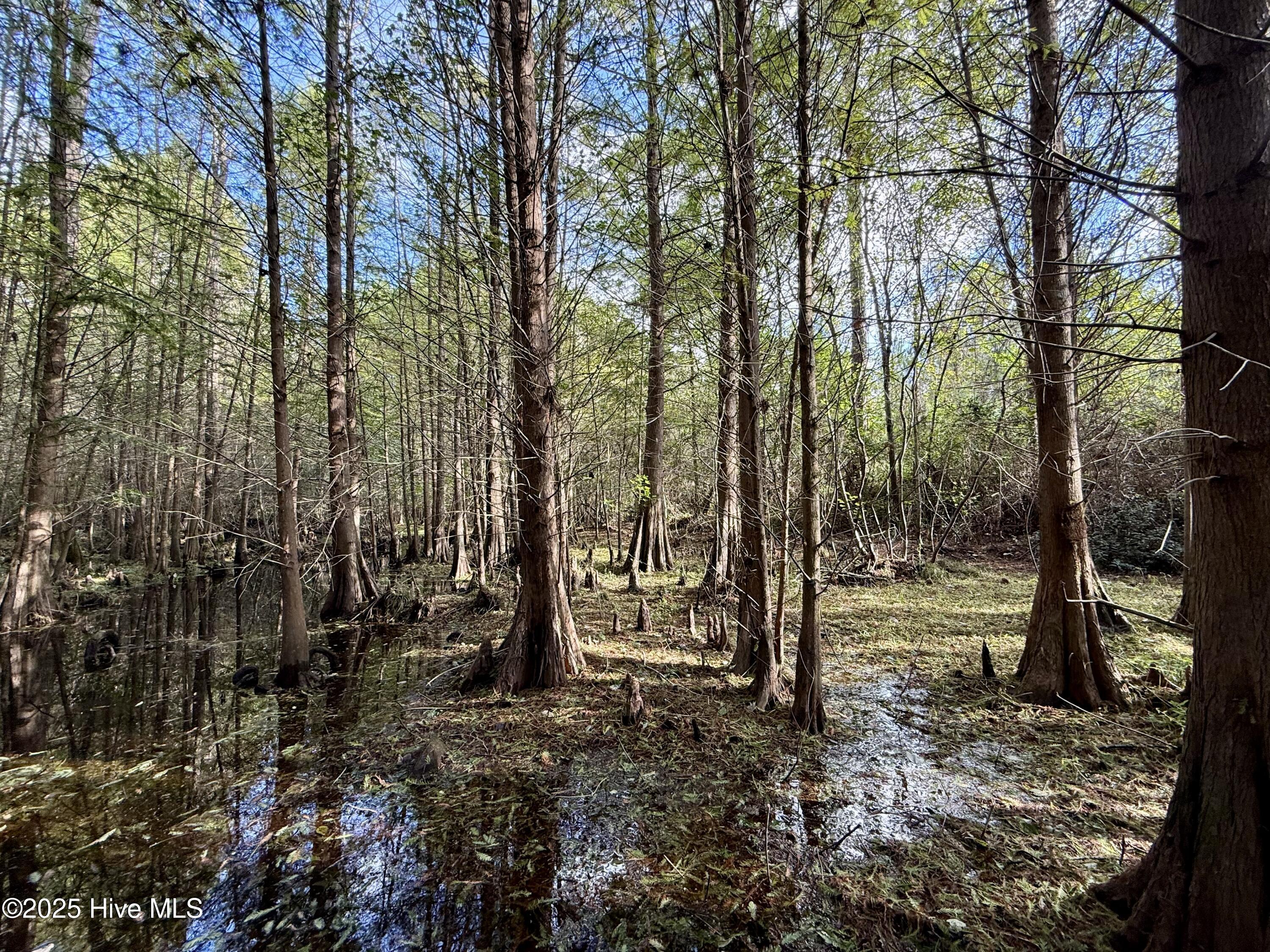 0 Atkinson Cemetery Road Property Photo 69
