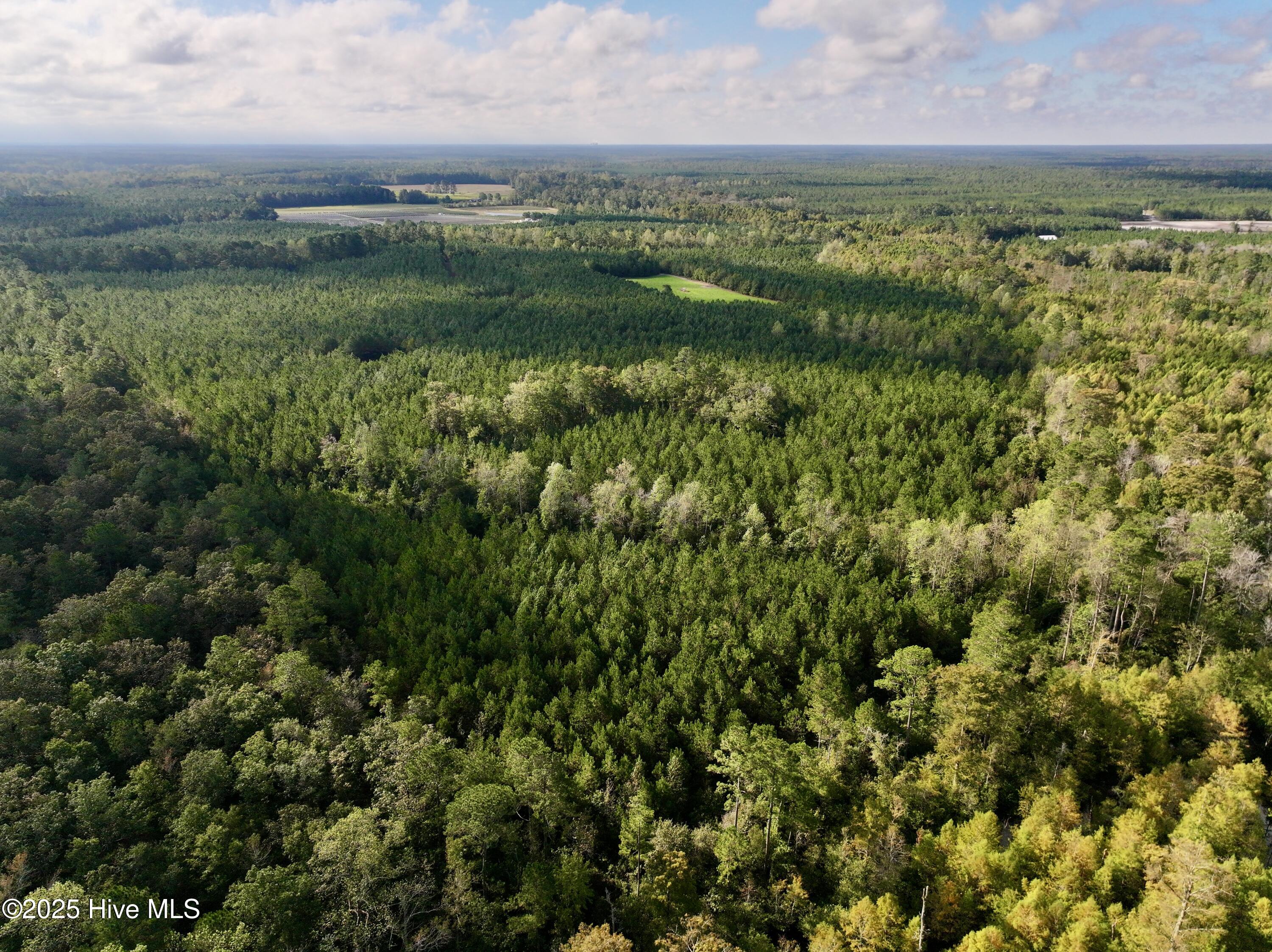 0 Atkinson Cemetery Road Property Photo 70