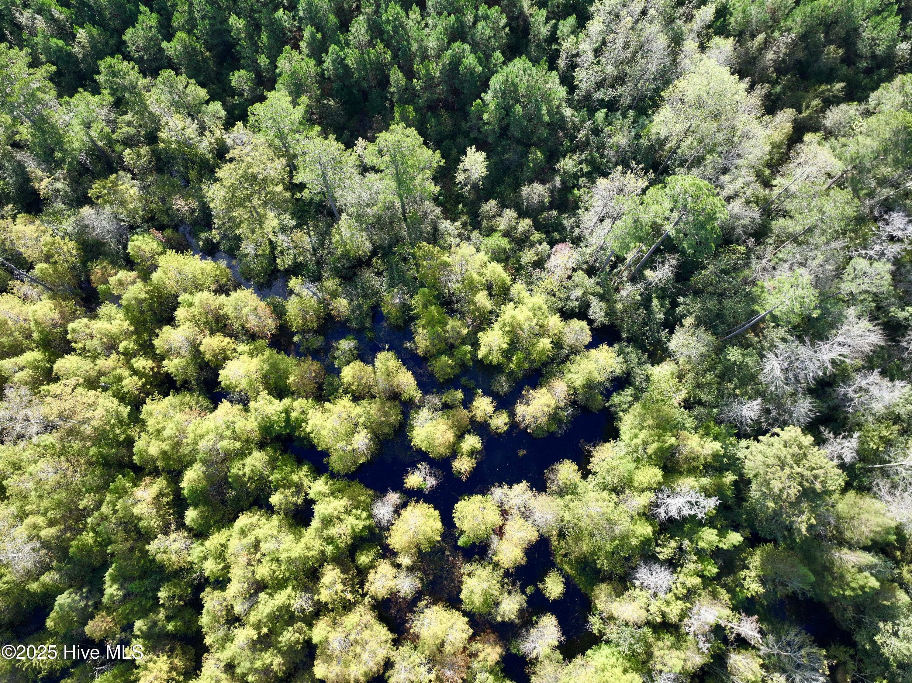 0 Atkinson Cemetery Road Property Photo 71