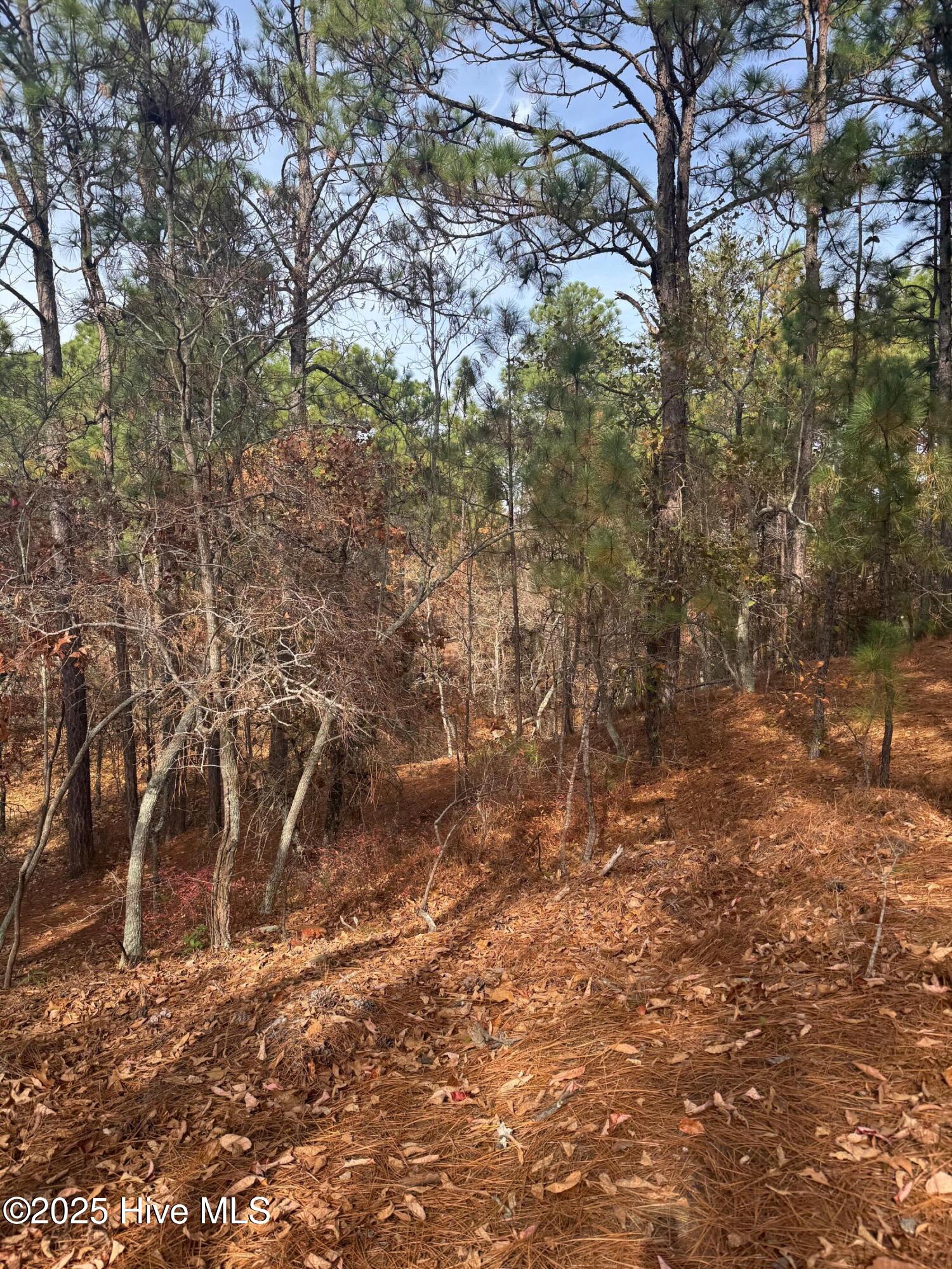 106 5450 Parker Court Property Photo 12
