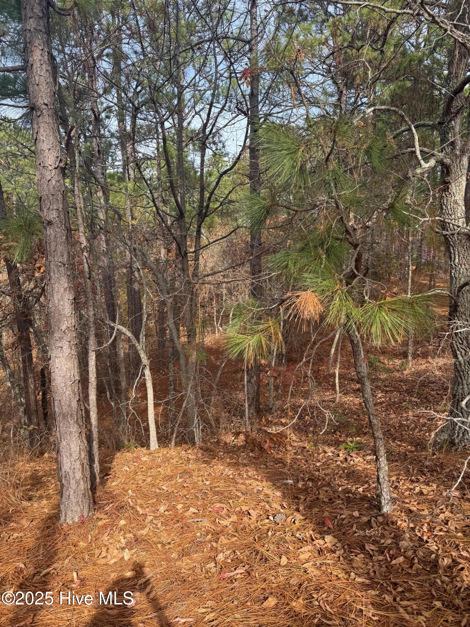 106 5450 Parker Court Property Photo 14