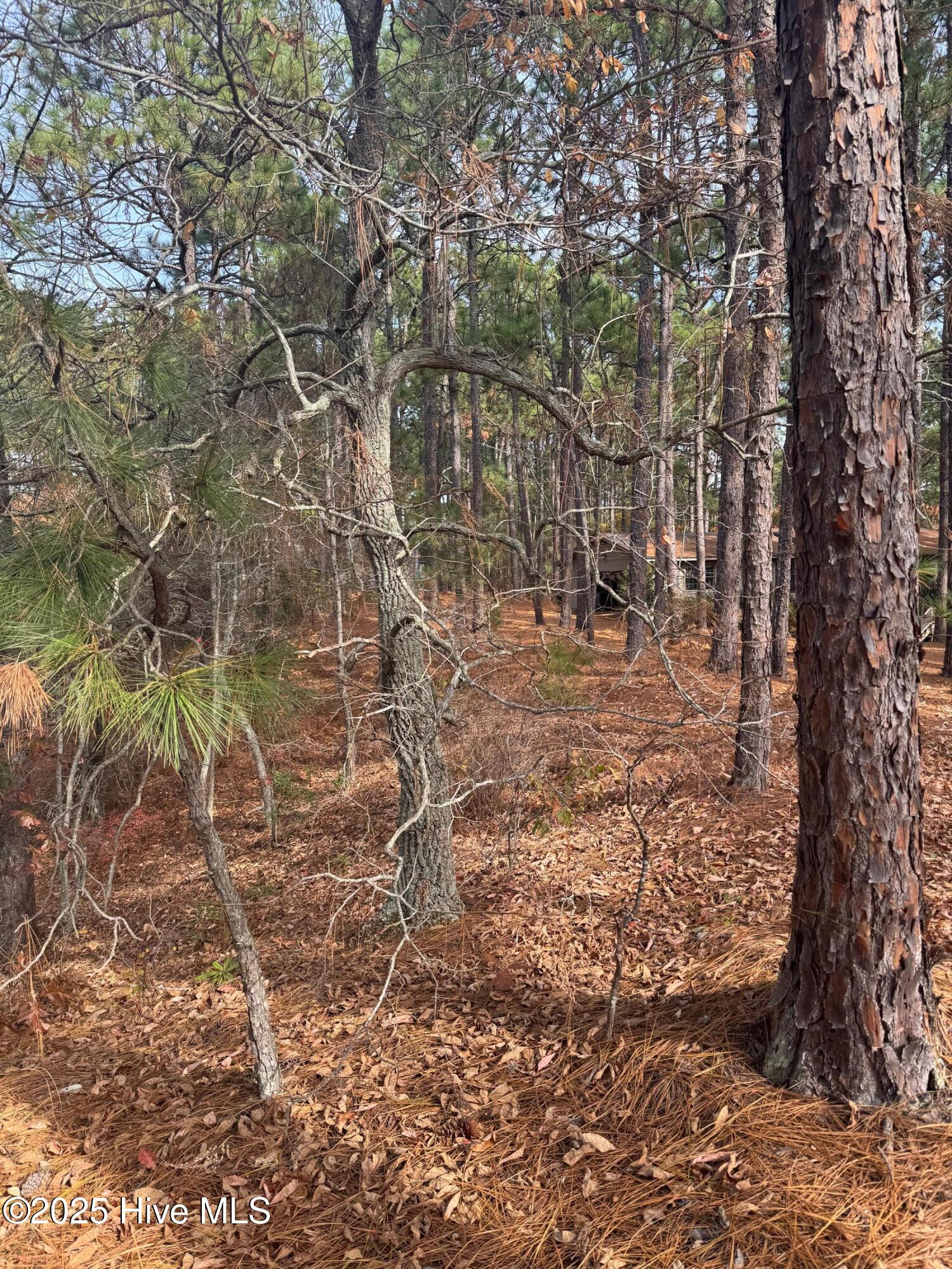 106 5450 Parker Court Property Photo 15
