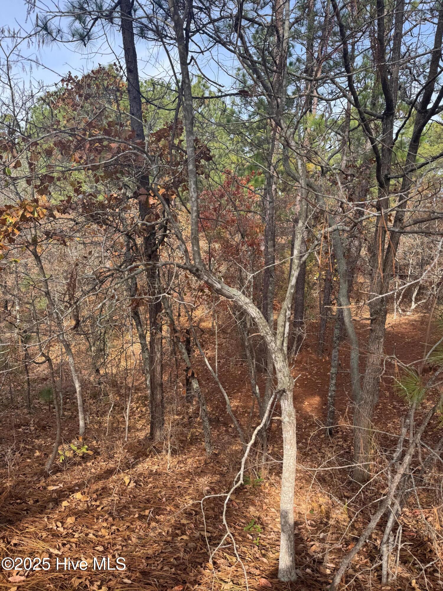 106 5450 Parker Court Property Photo 18