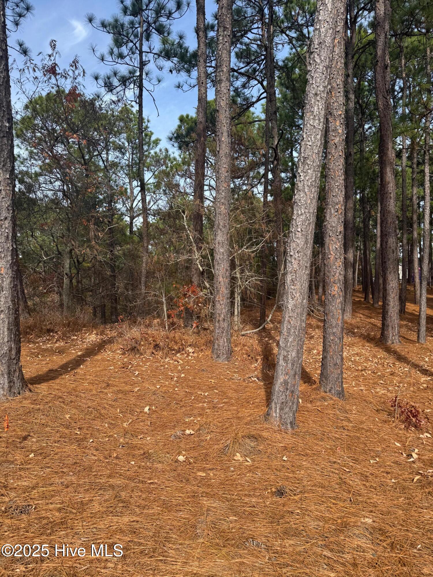 106 5450 Parker Court Property Photo 20