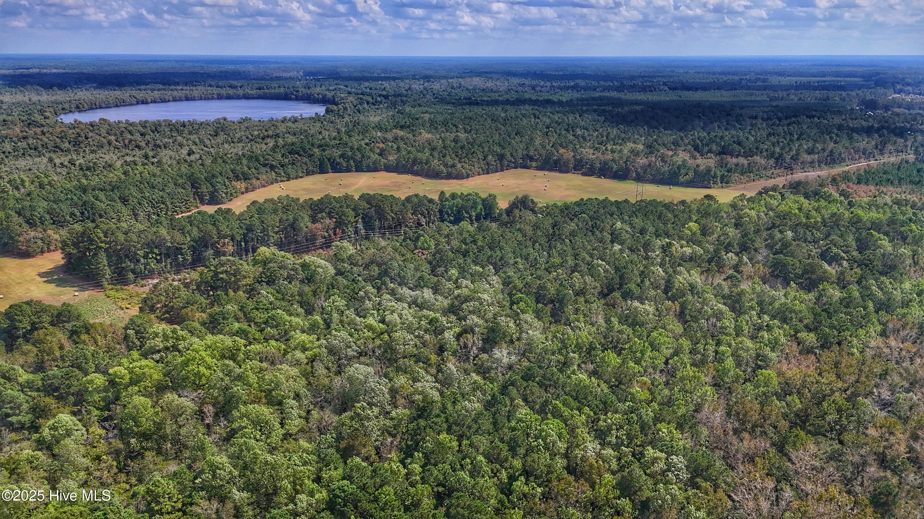 0 Burney Road Property Photo 13