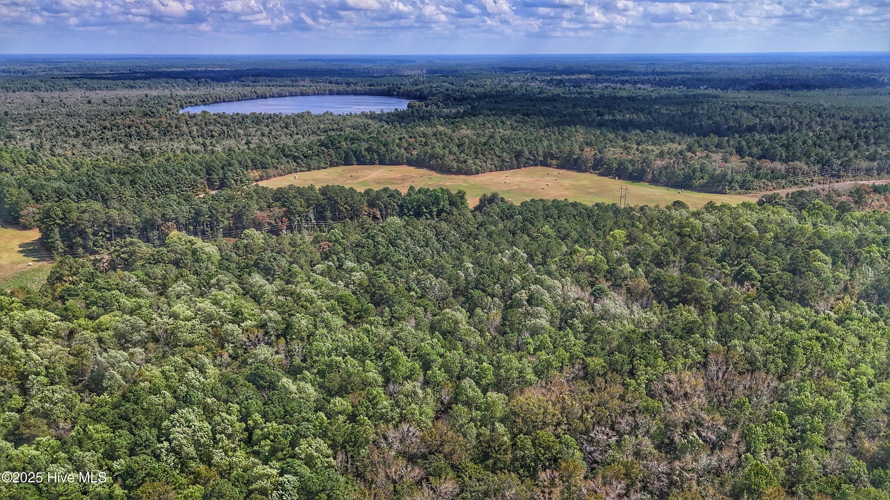 0 Burney Road Property Photo 15