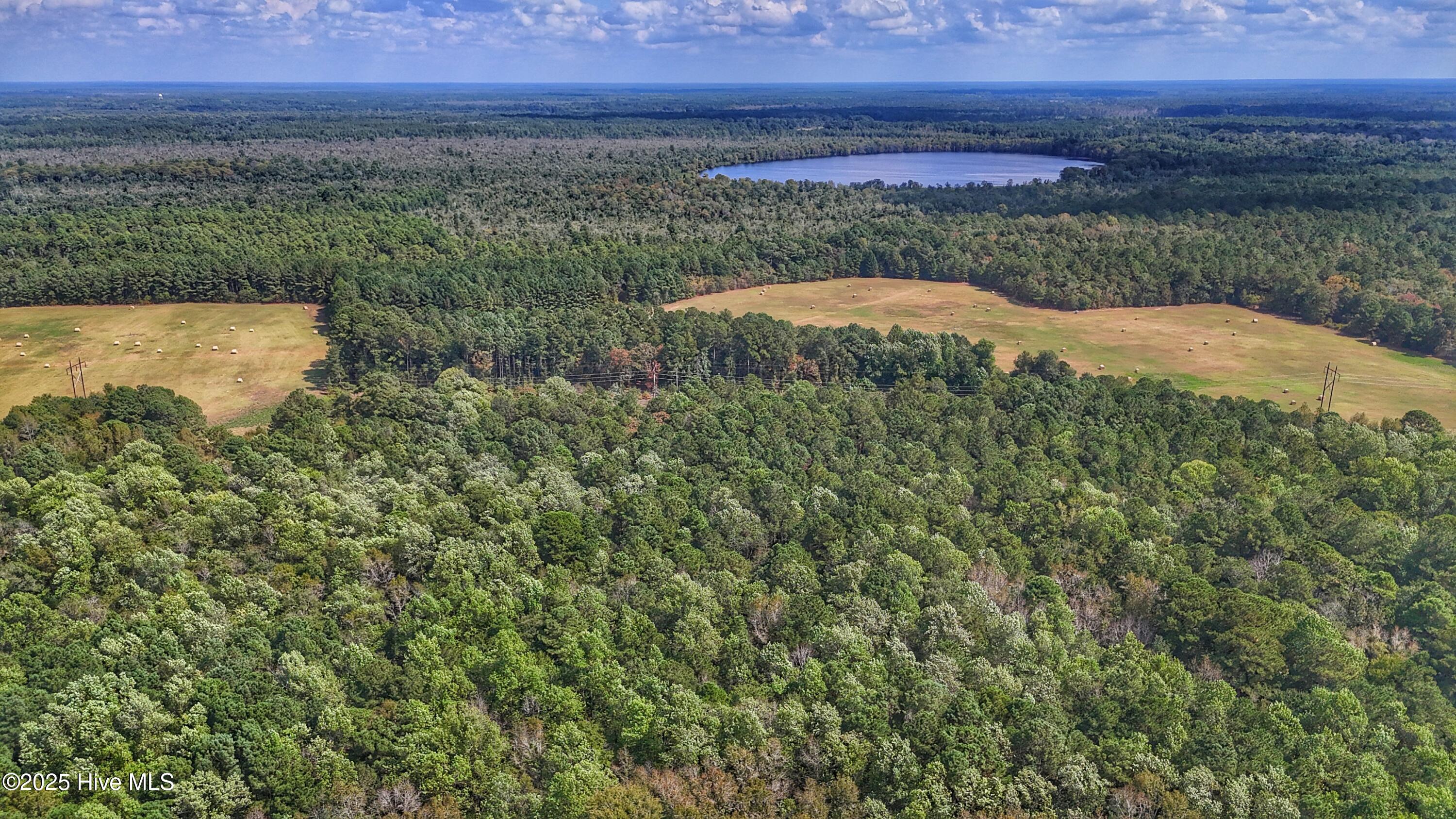 0 Burney Road Property Photo 17