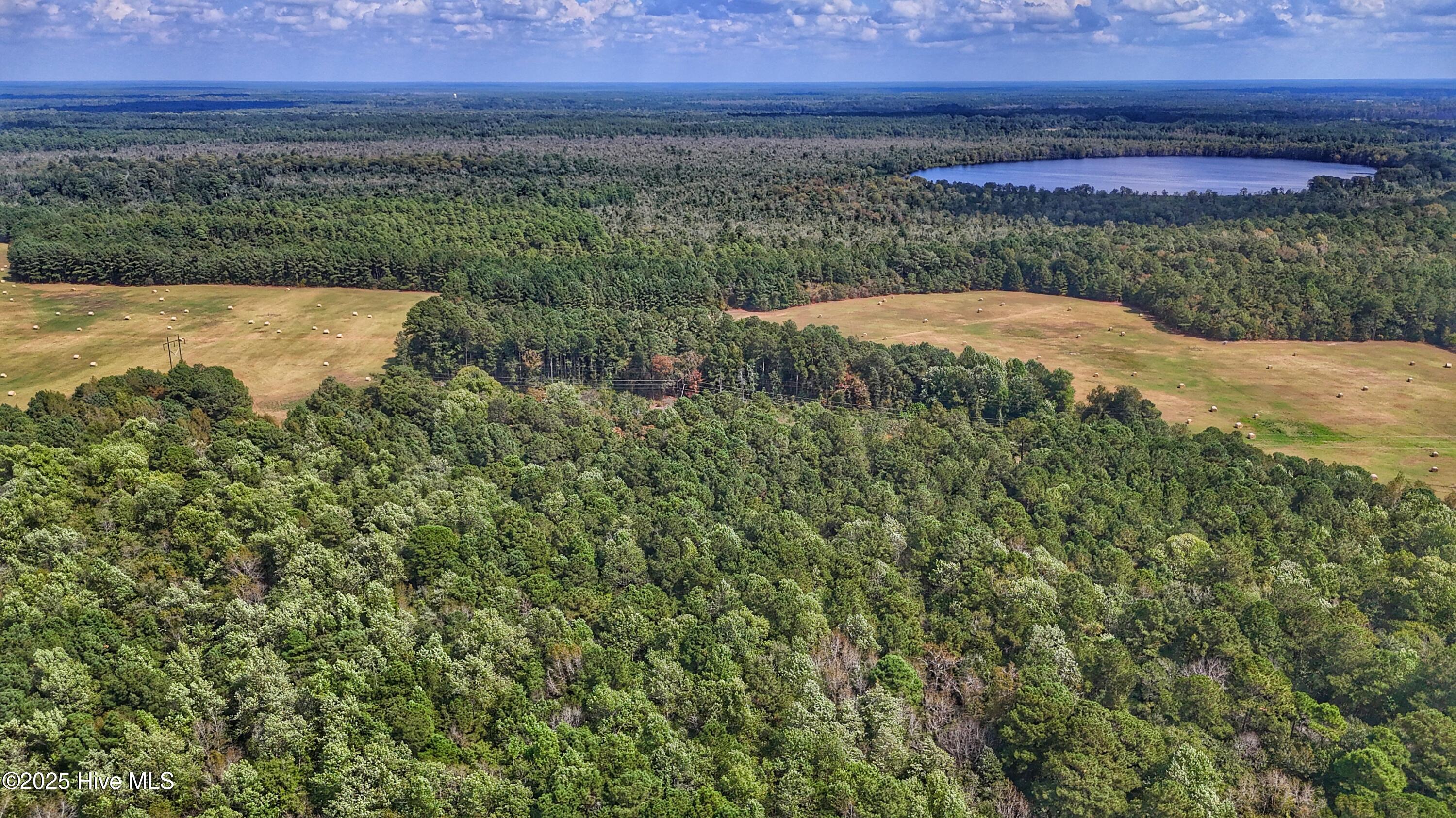 0 Burney Road Property Photo 18