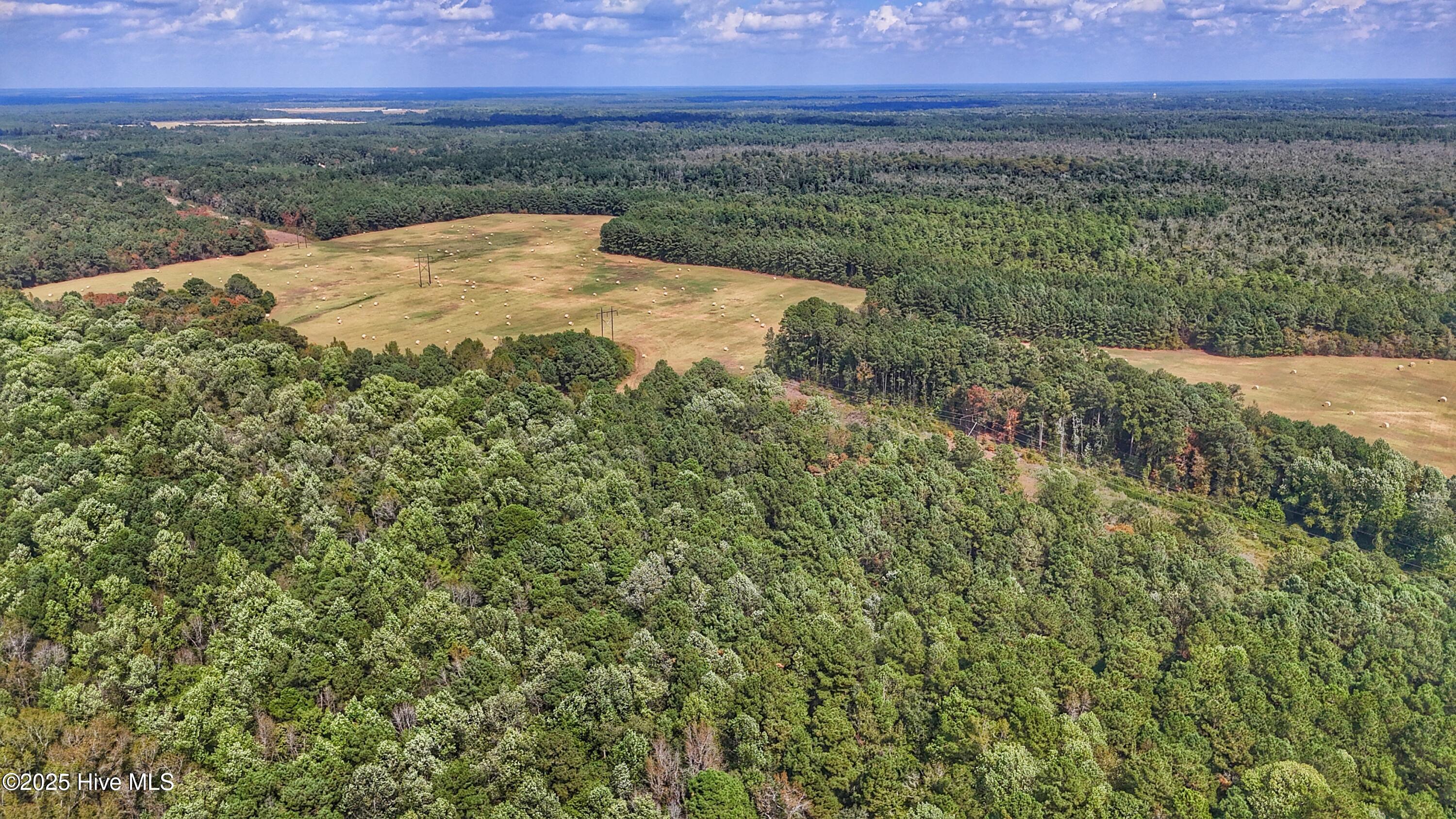 0 Burney Road Property Photo 19