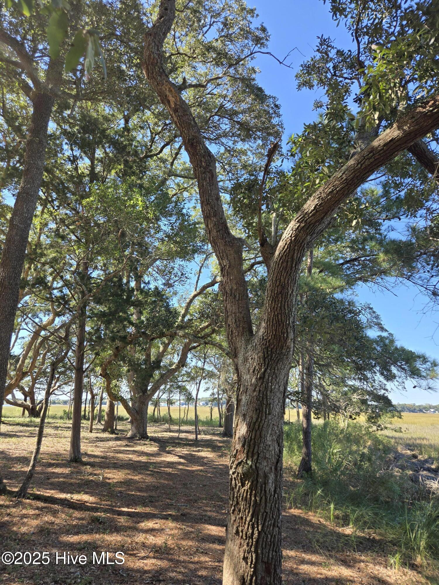 3810 Windy Point Road Property Photo 10