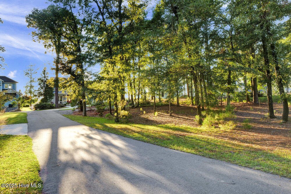 3623 White Cliffs Drive Property Photo 81