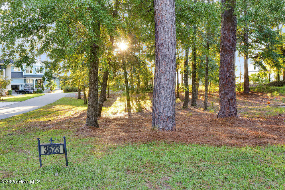 3623 White Cliffs Drive Property Photo 82