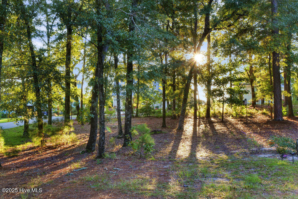 3623 White Cliffs Drive Property Photo 83
