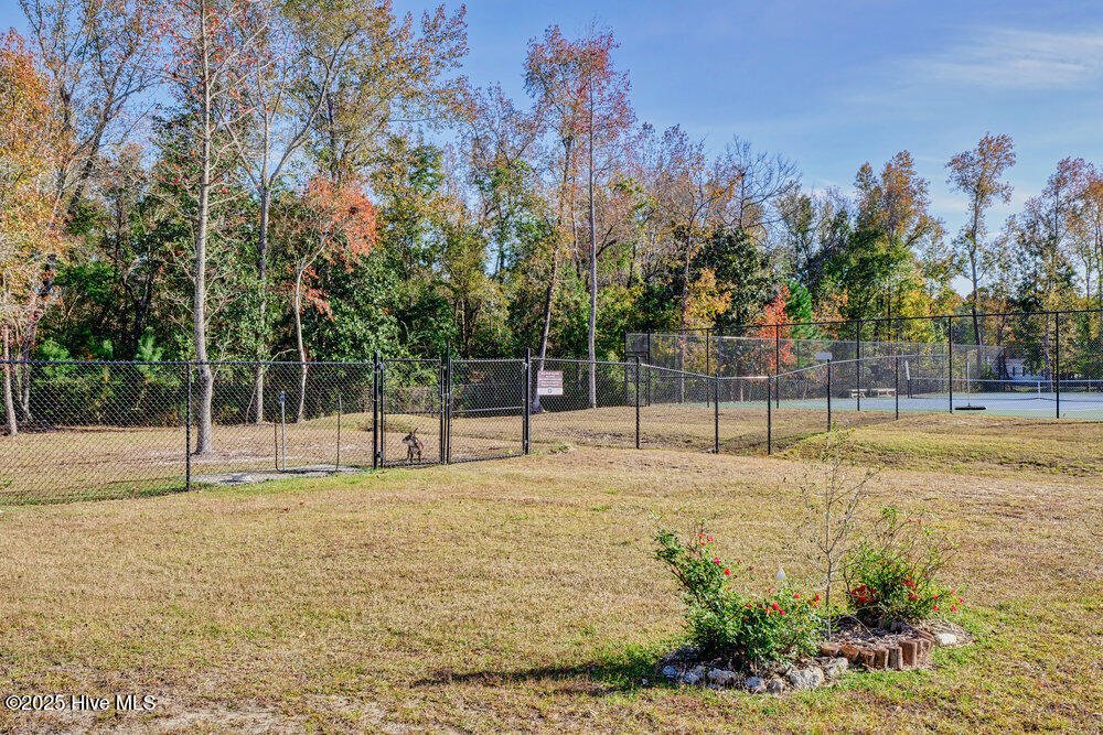 3623 White Cliffs Drive Property Photo 125