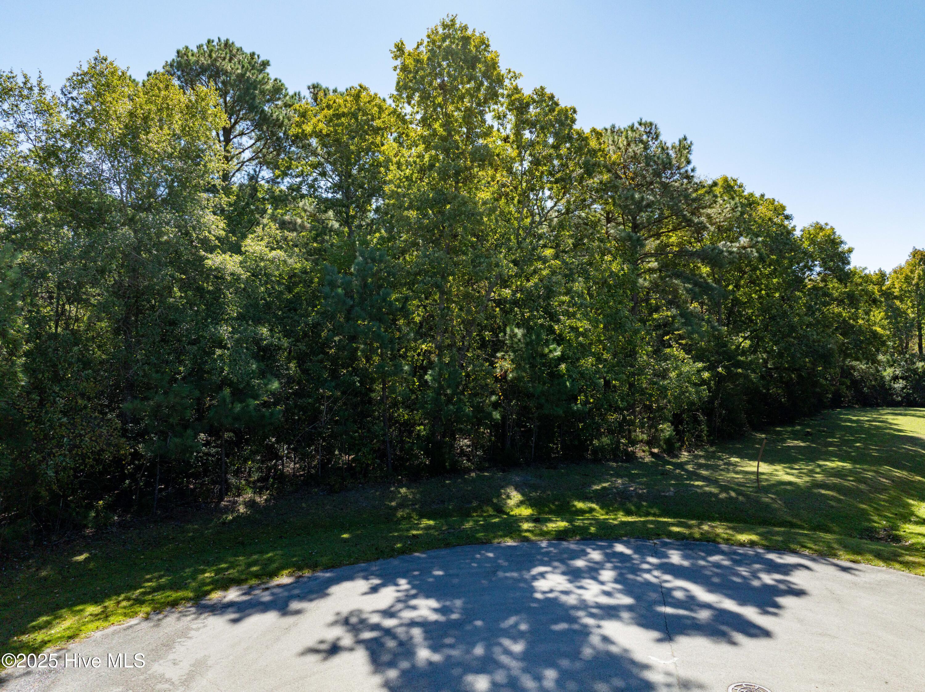 186 Snow Goose Lane Property Photo 8