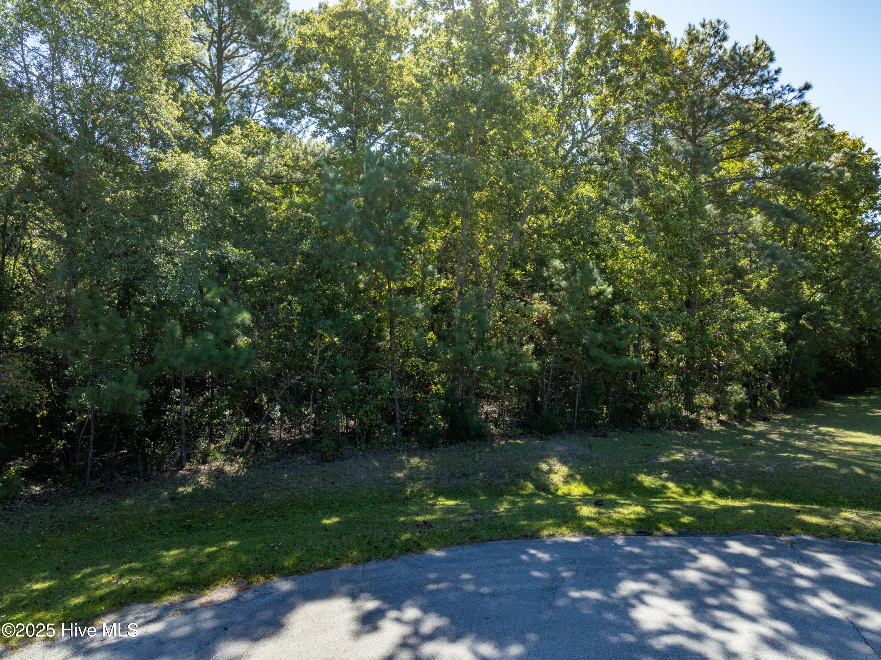 186 Snow Goose Lane Property Photo 9