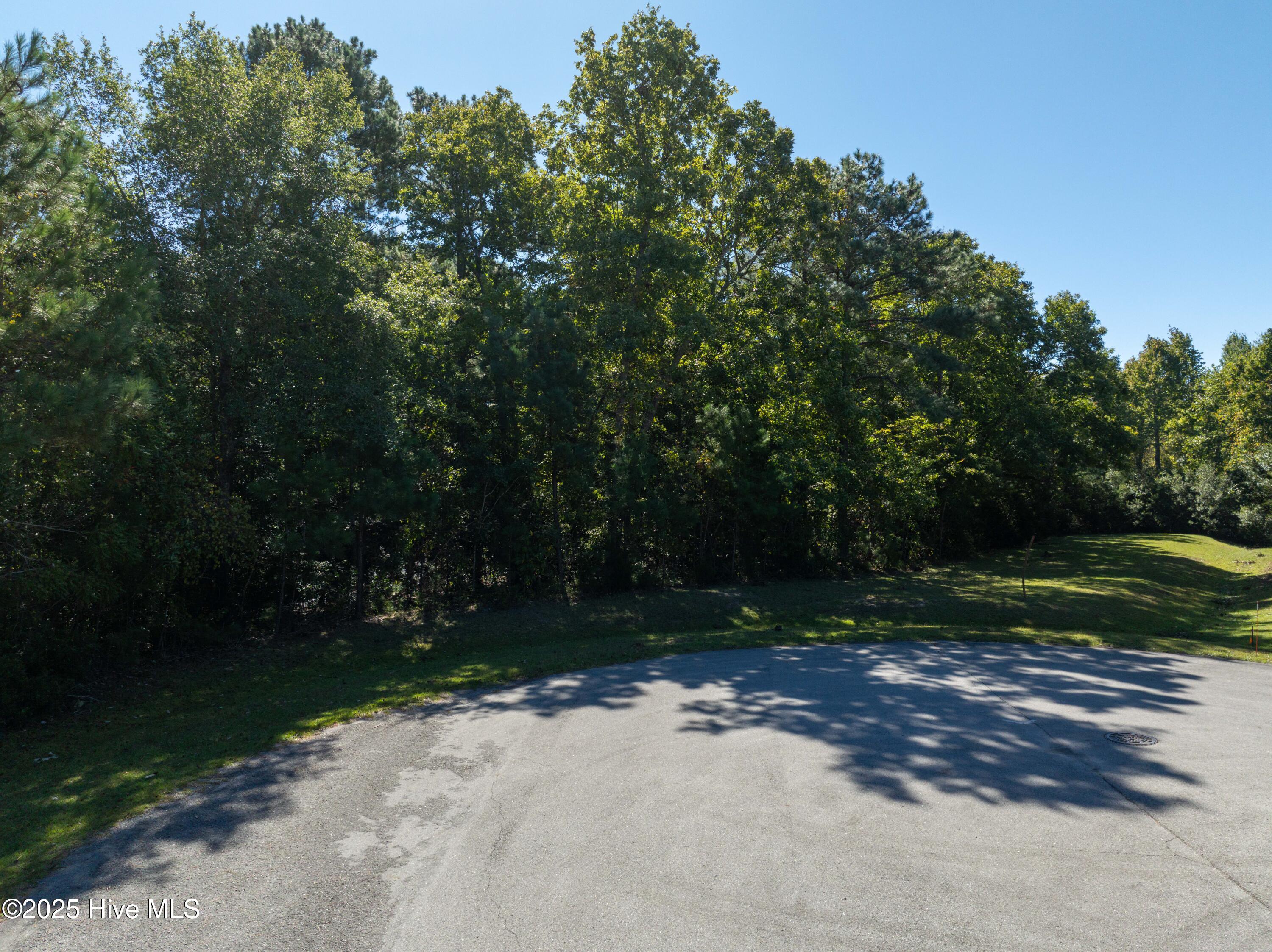 186 Snow Goose Lane Property Photo 10