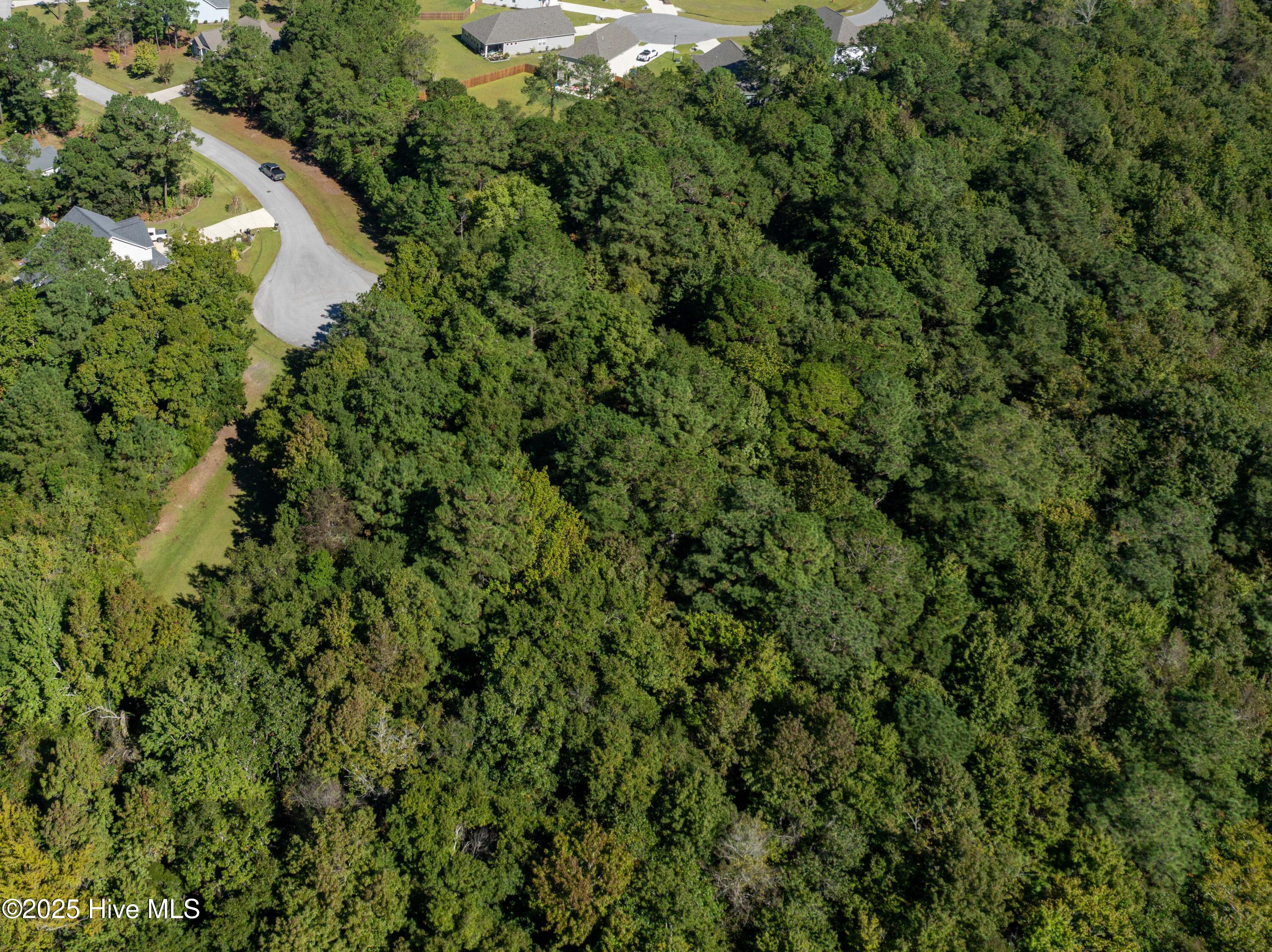 186 Snow Goose Lane Property Photo 11