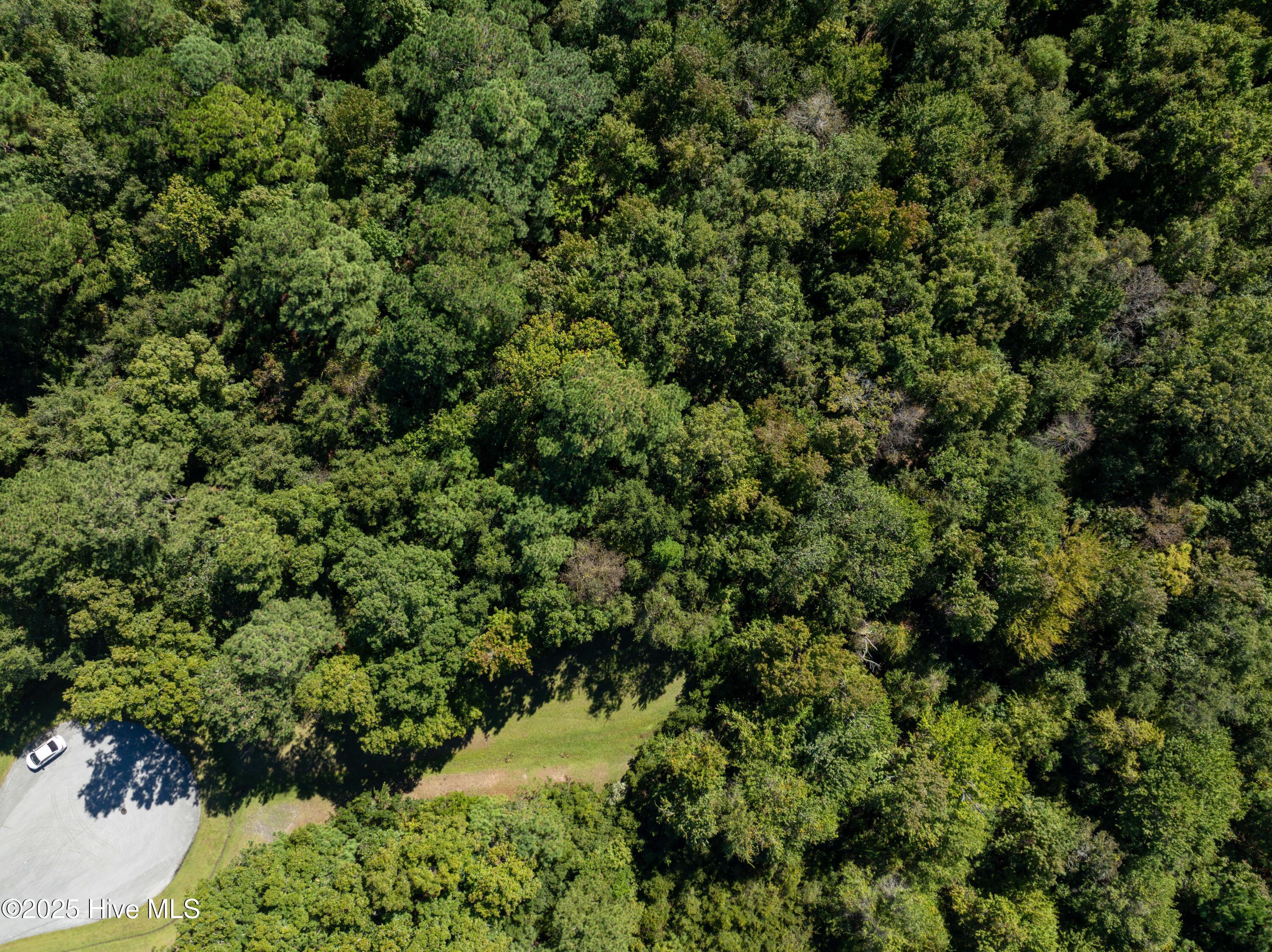 186 Snow Goose Lane Property Photo 14