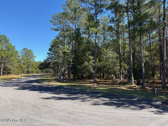 3002 Vera Cruz Circle Property Photo 2