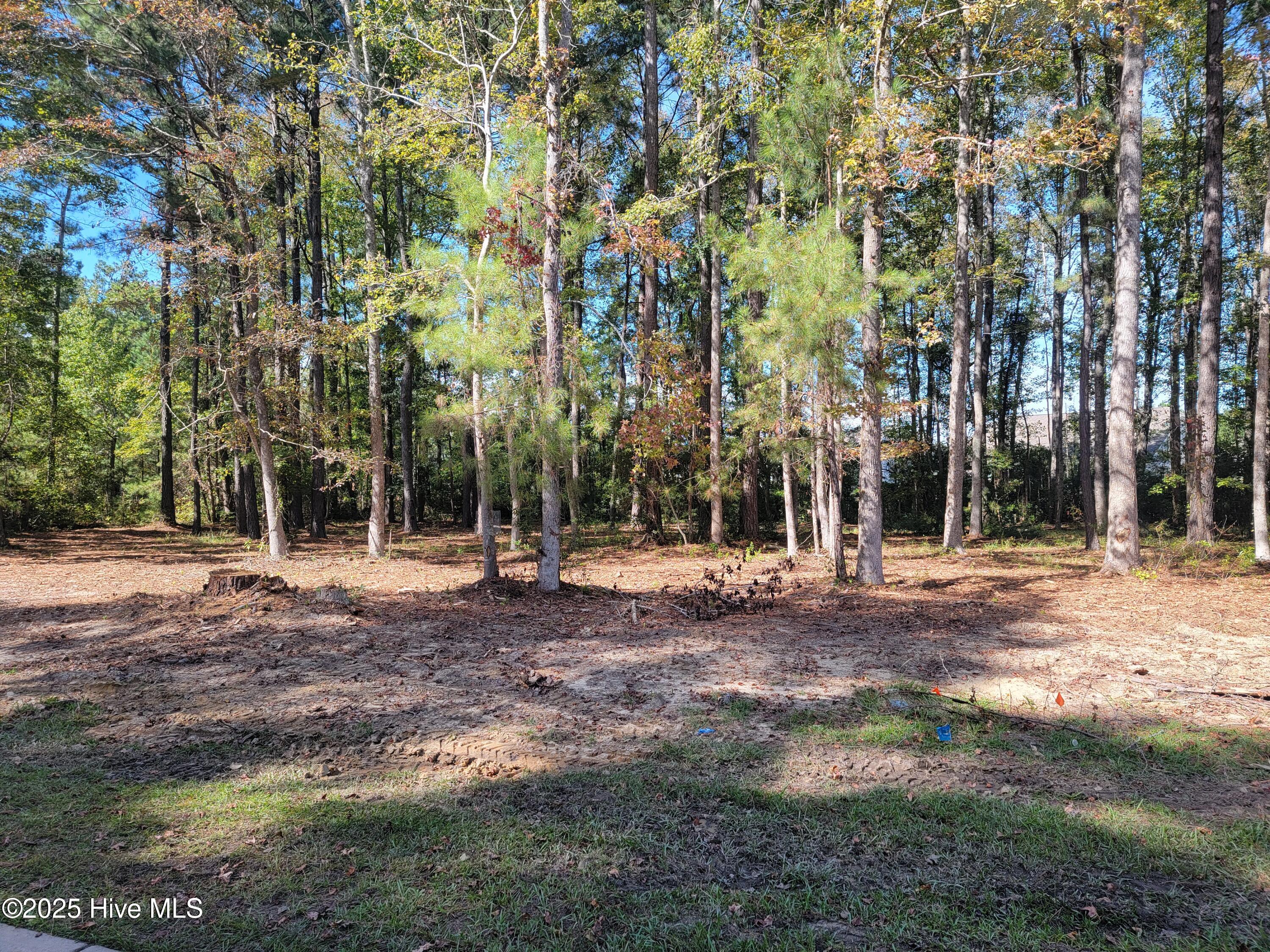 6790 Hanbury Place Property Photo 4