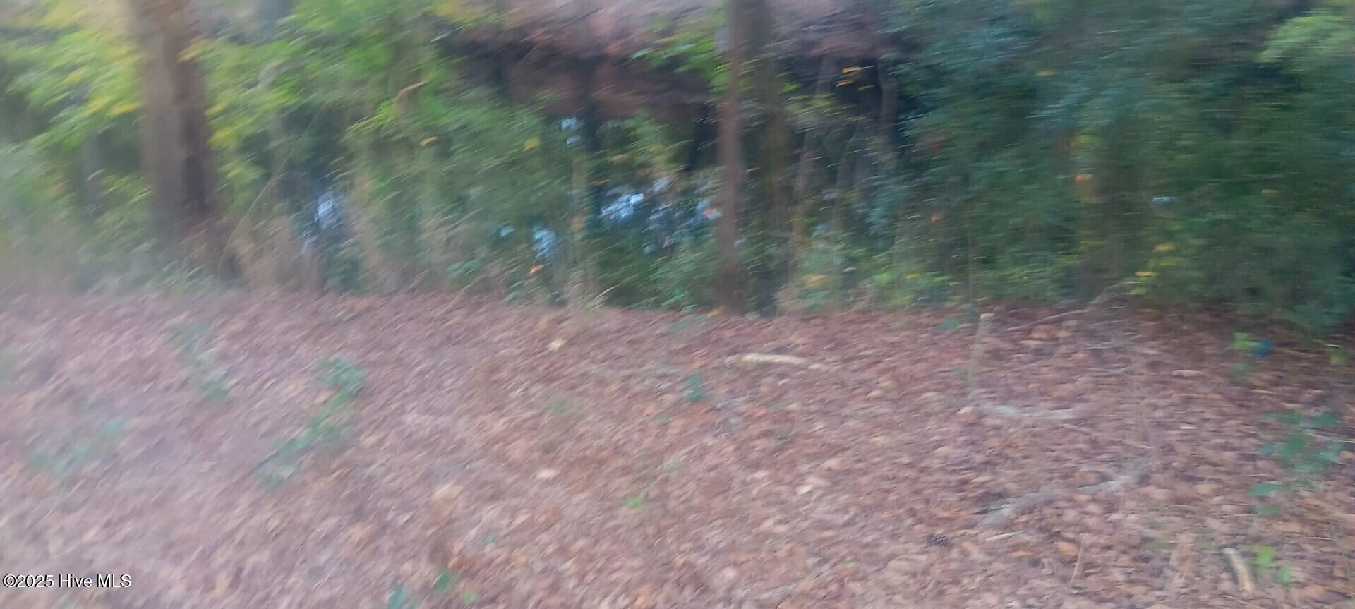 0 6 Hwy 53 Property Photo 3