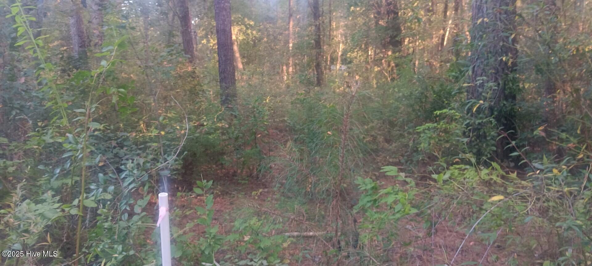 0 6 Hwy 53 Property Photo 4