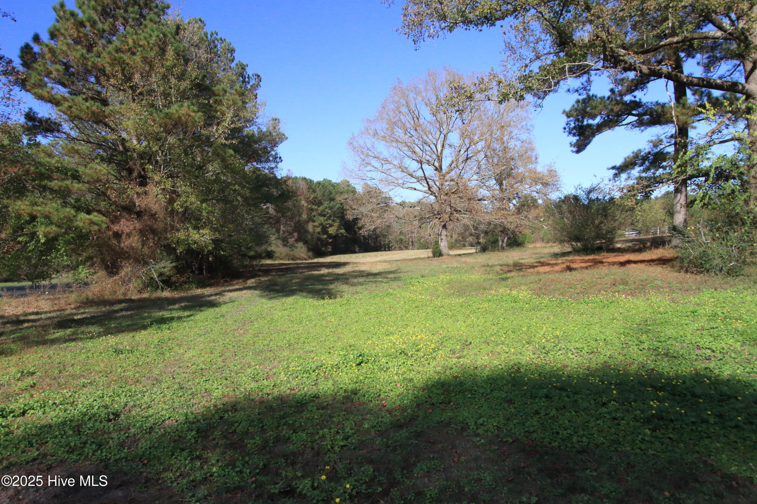 0 Cedar Lane Road Property Photo 6