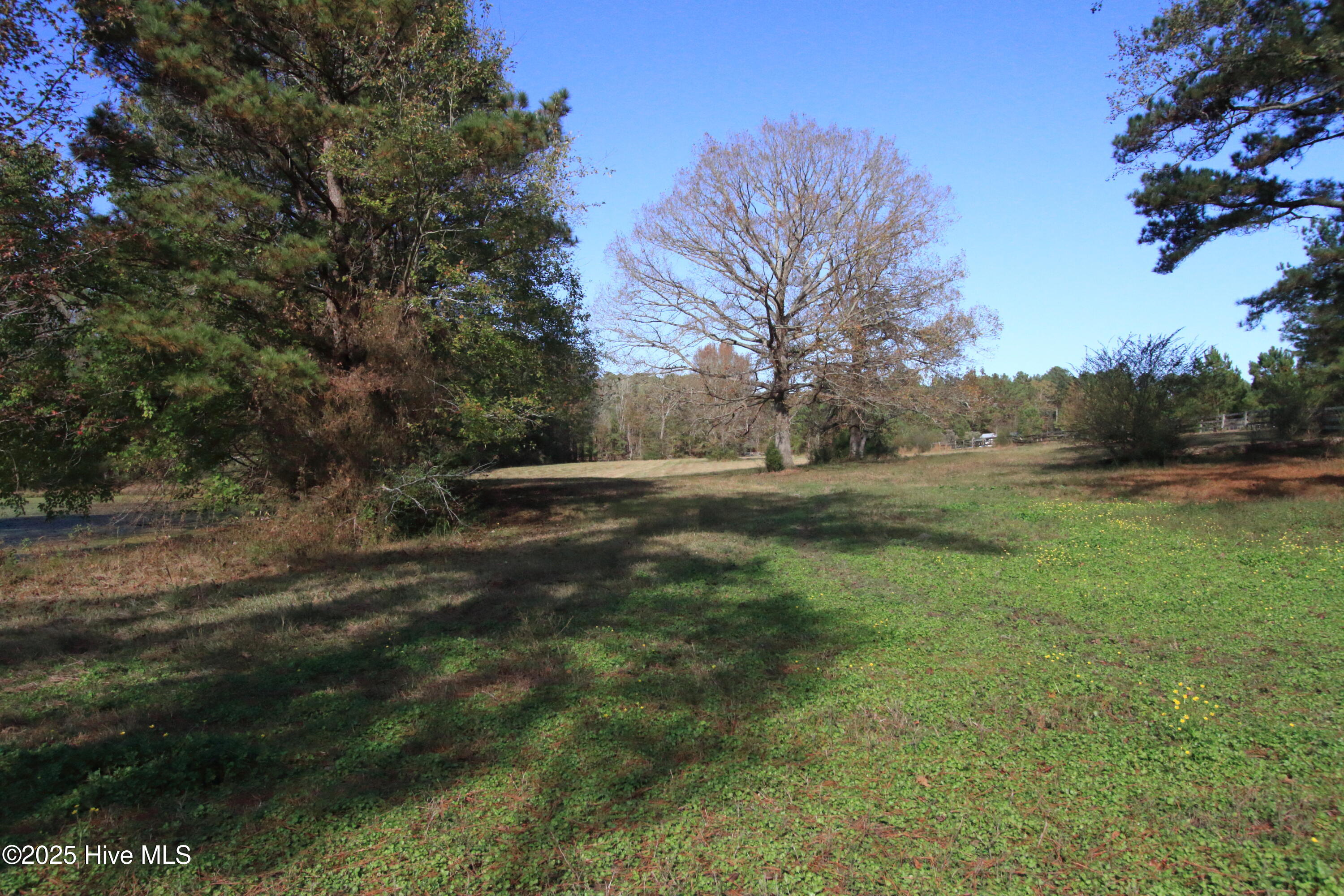 0 Cedar Lane Road Property Photo 7