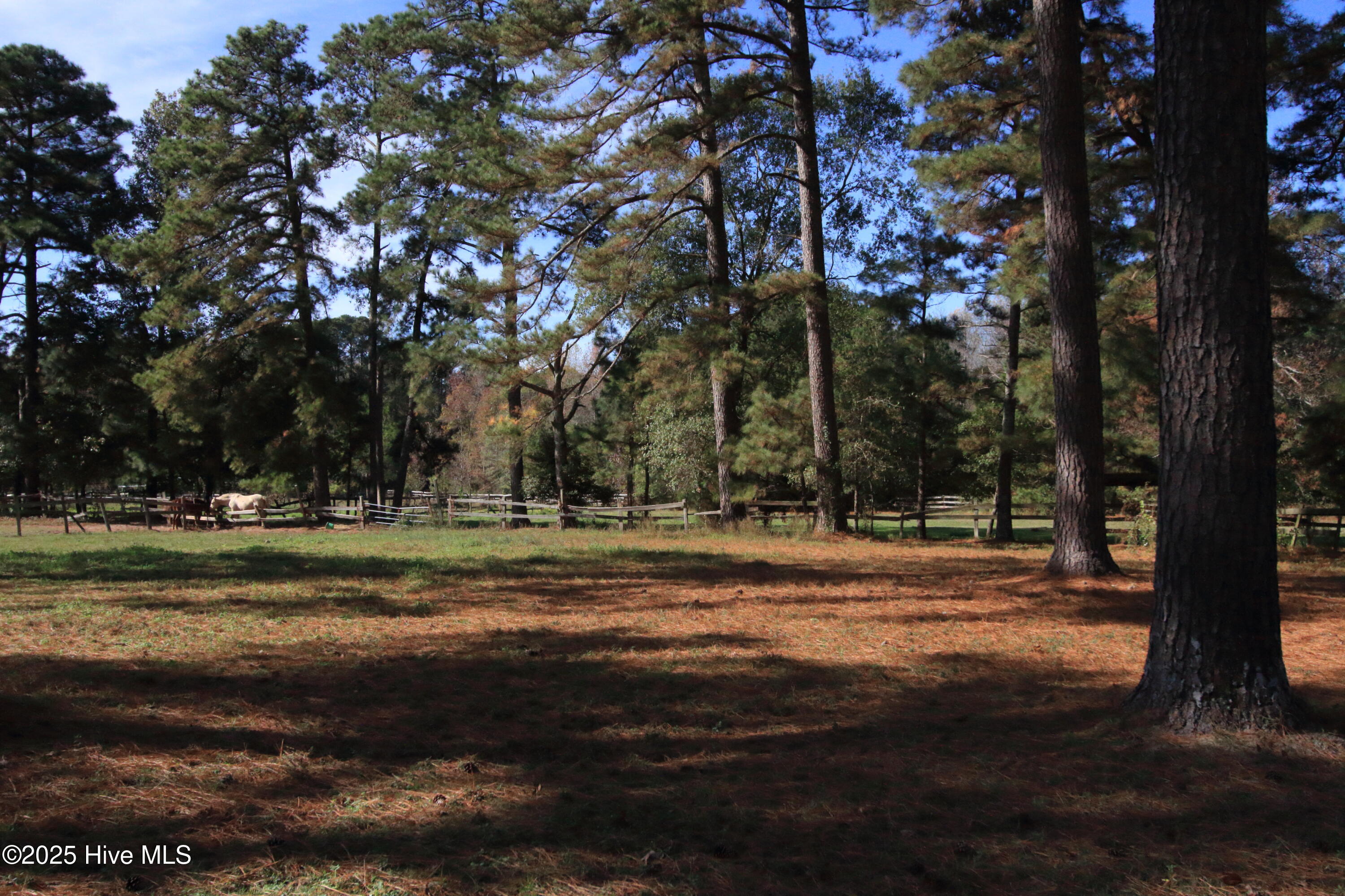00 Cedar Lane Road Property Photo 11