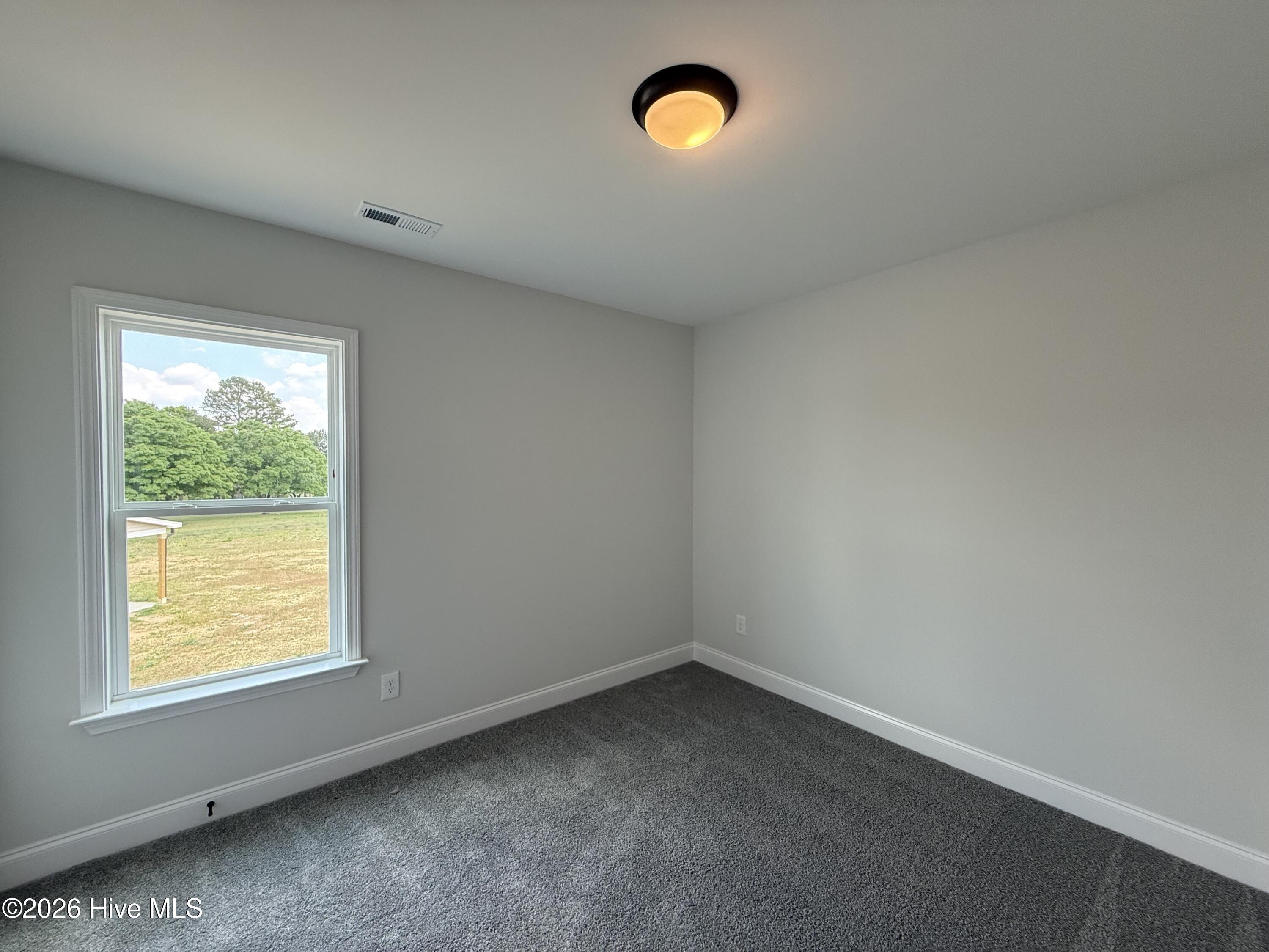88 Sundrops Trail Property Photo 15