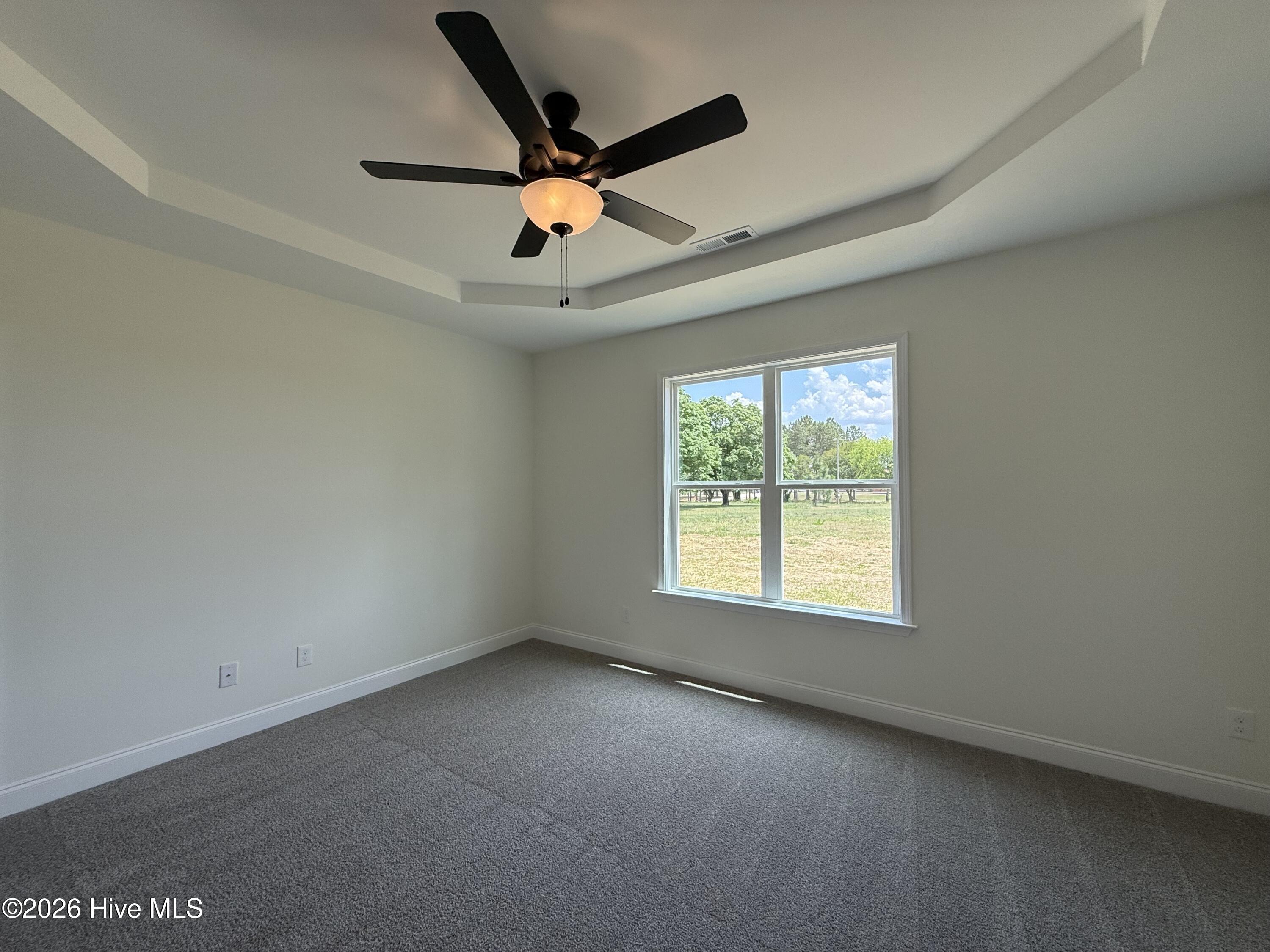 87 Sundrops Trail Property Photo 11