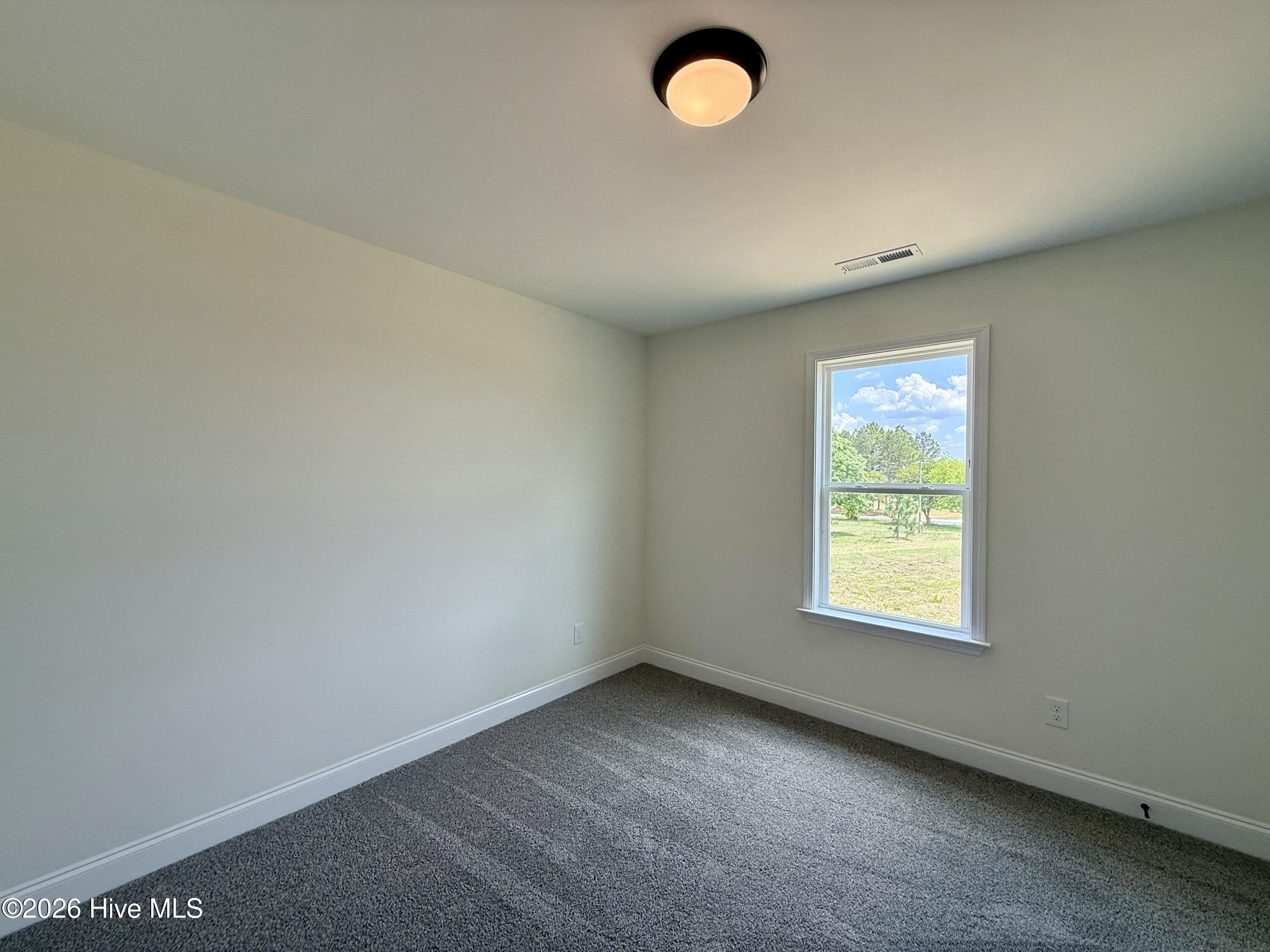 87 Sundrops Trail Property Photo 15