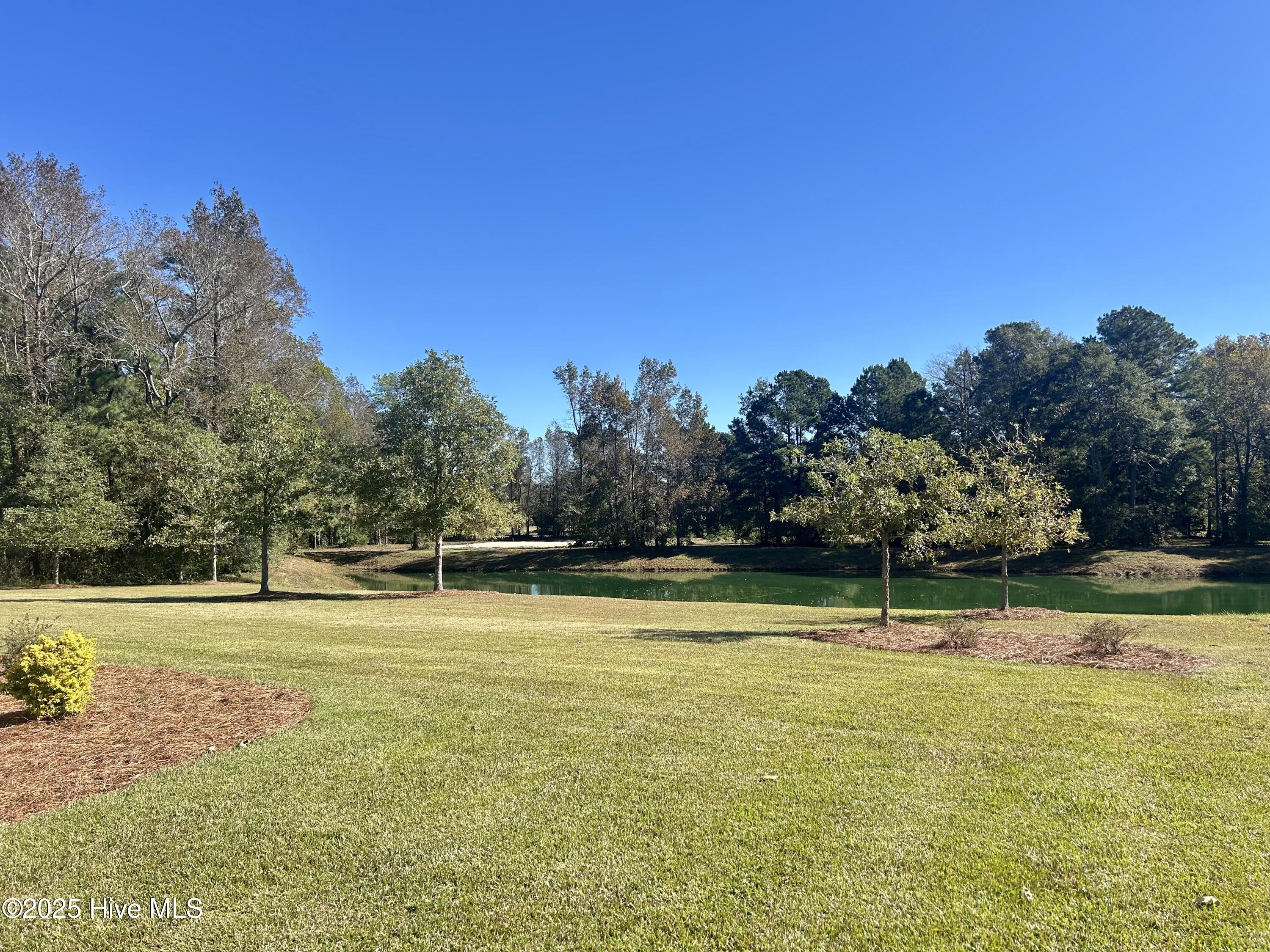 141 Sycamore Lakes Drive Property Photo 6