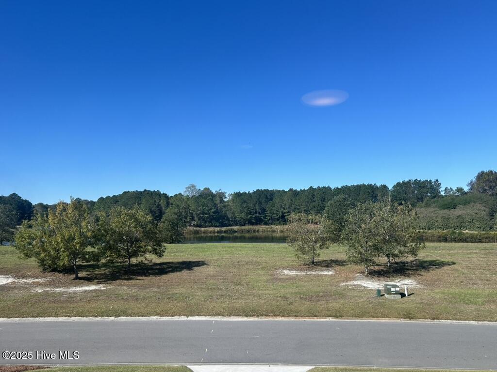 141 Sycamore Lakes Drive Property Photo 7