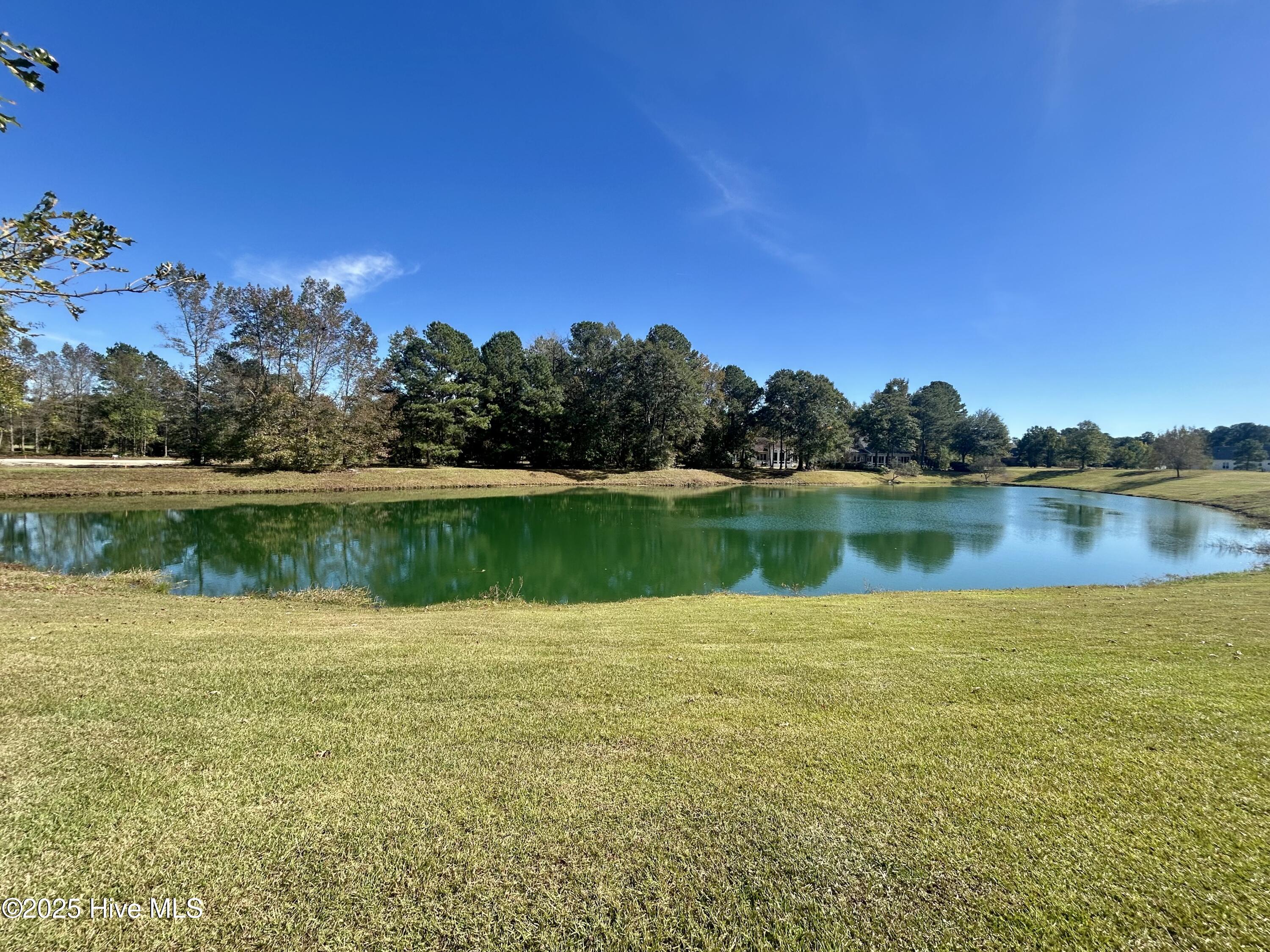 135 Sycamore Lakes Drive Property Photo 47