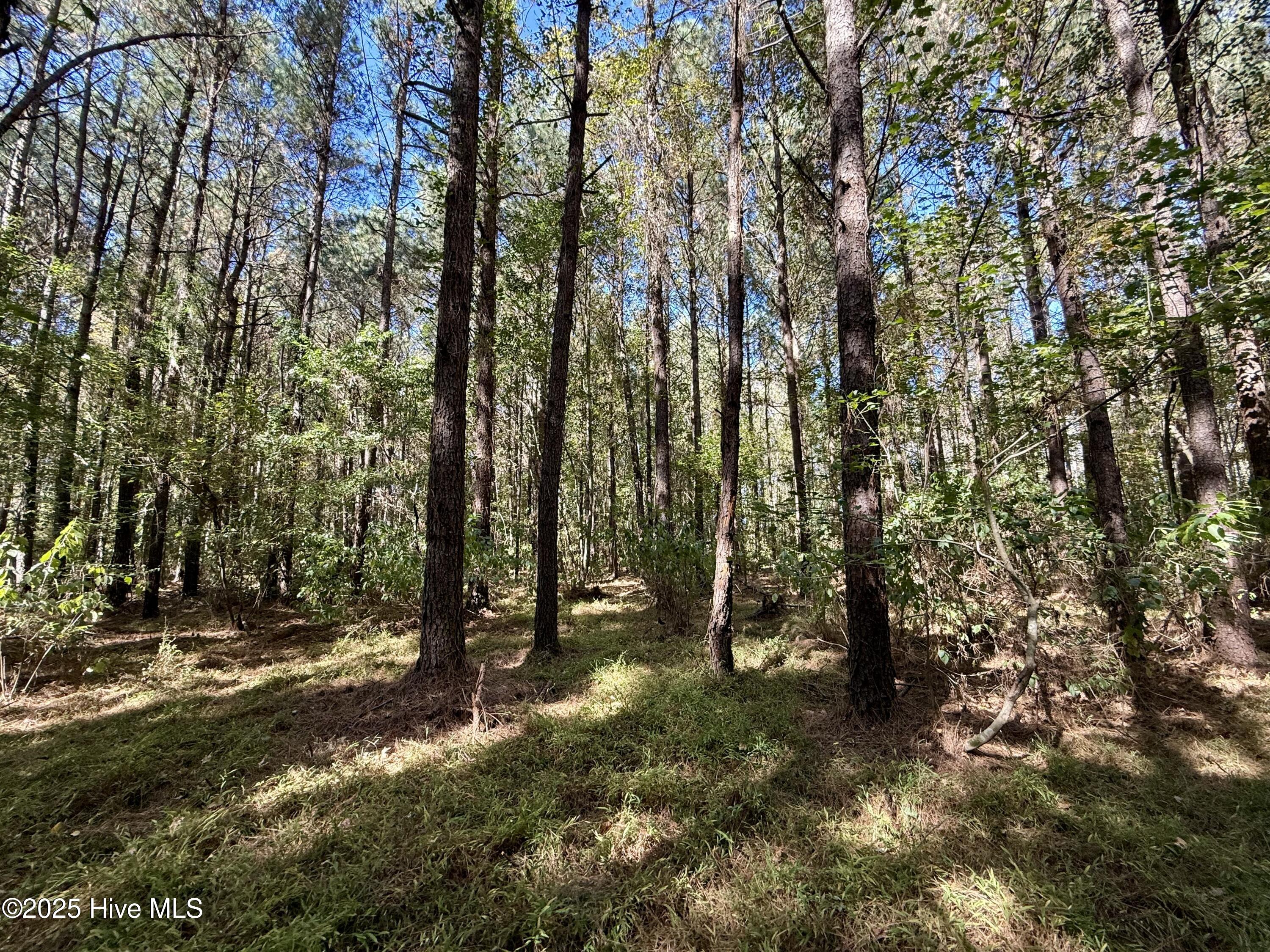 00 Gaskins Road Property Photo 7