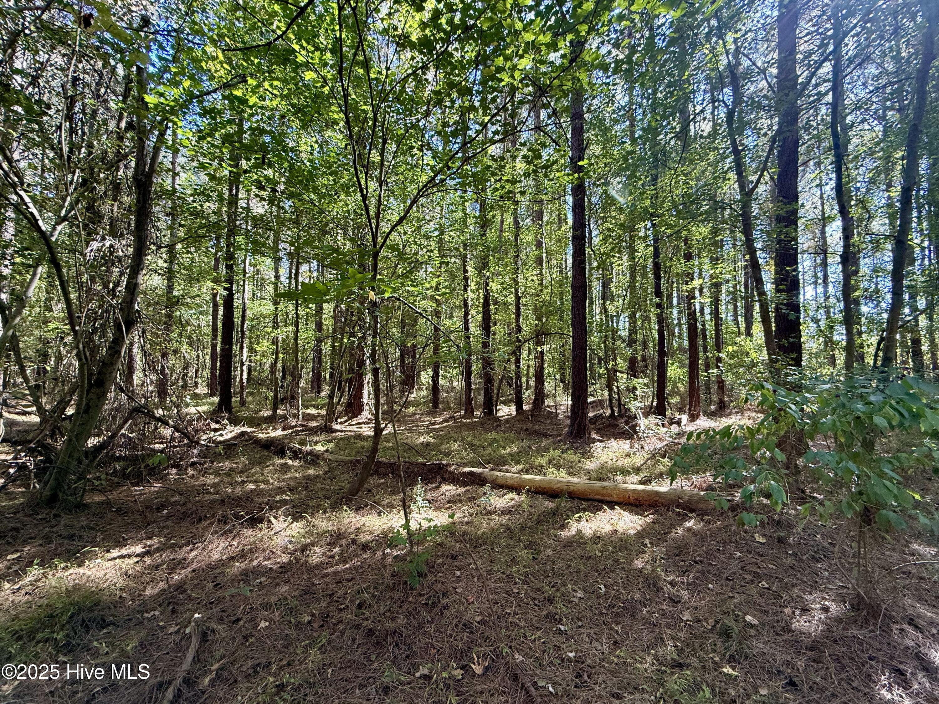 00 Gaskins Road Property Photo 8