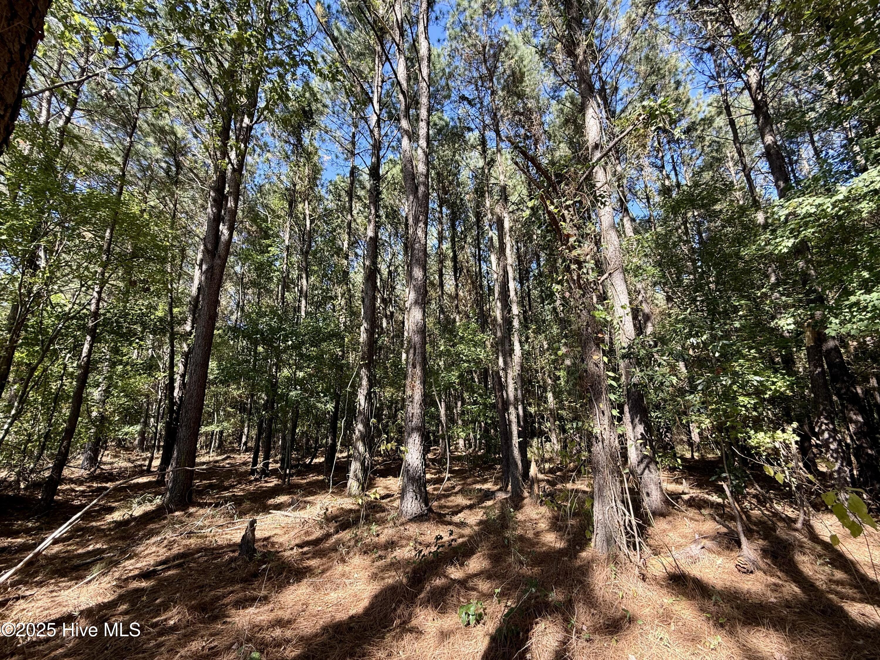 00 Gaskins Road Property Photo 9