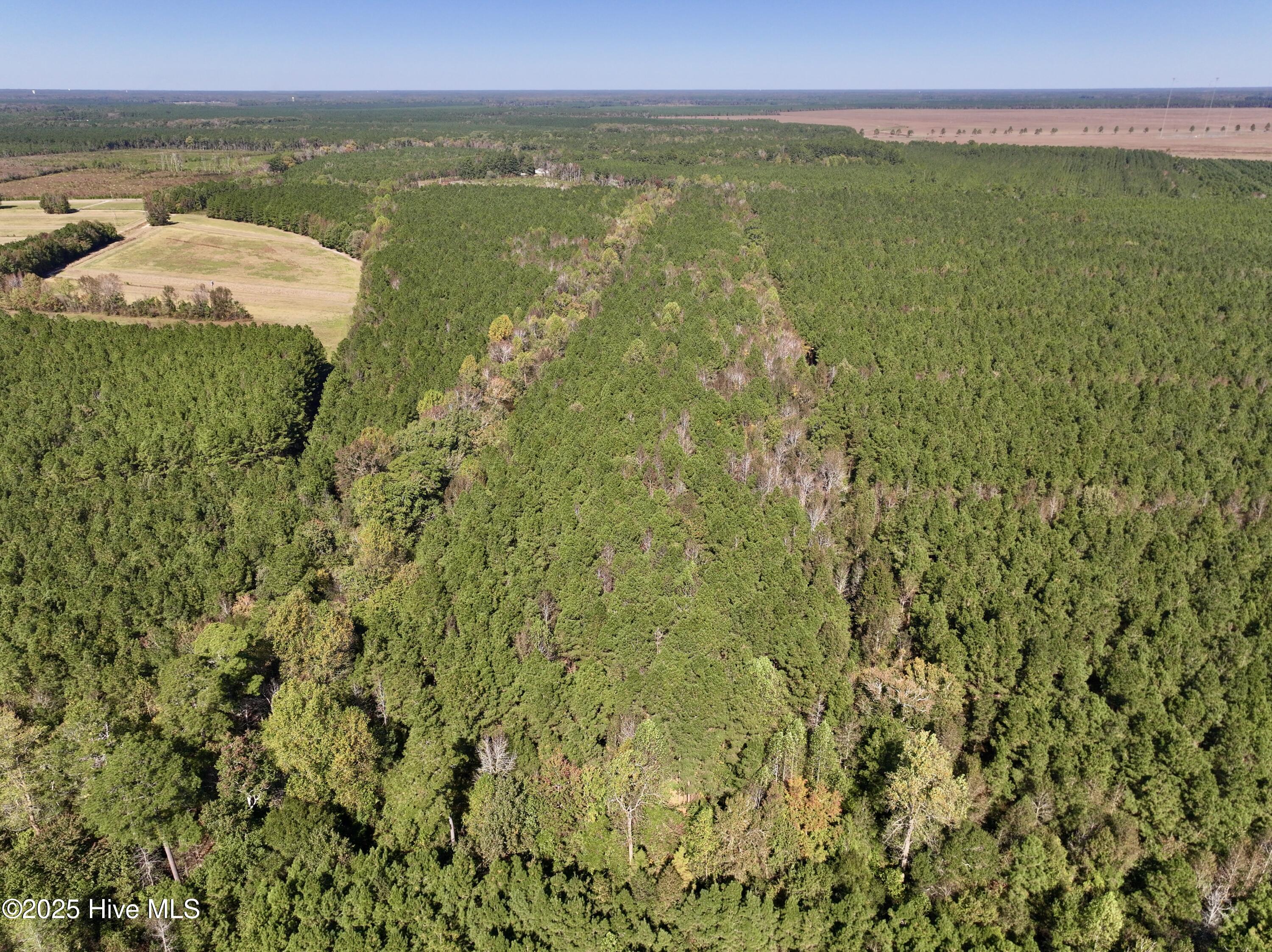 00 Gaskins Road Property Photo 11