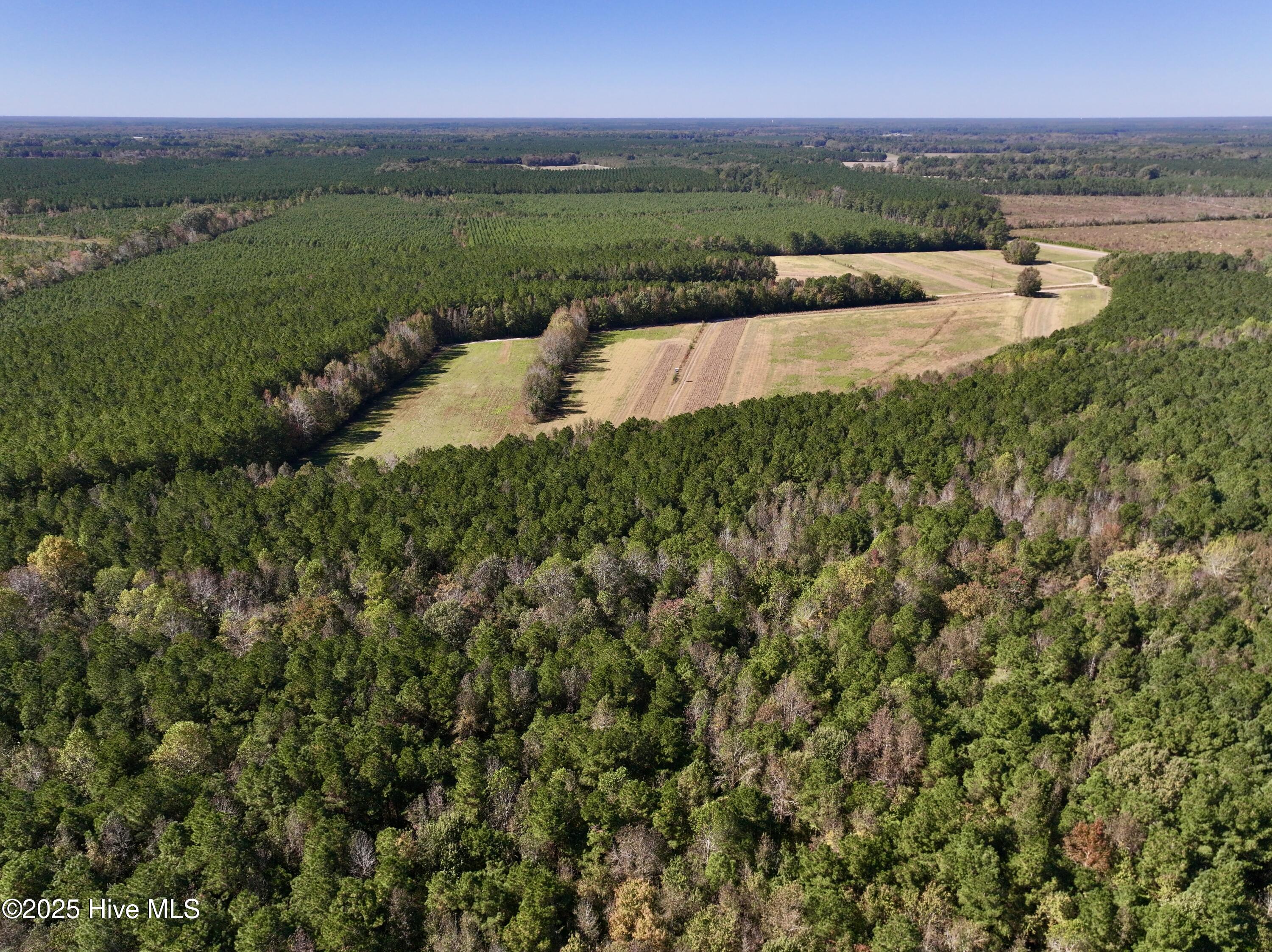 00 Gaskins Road Property Photo 13