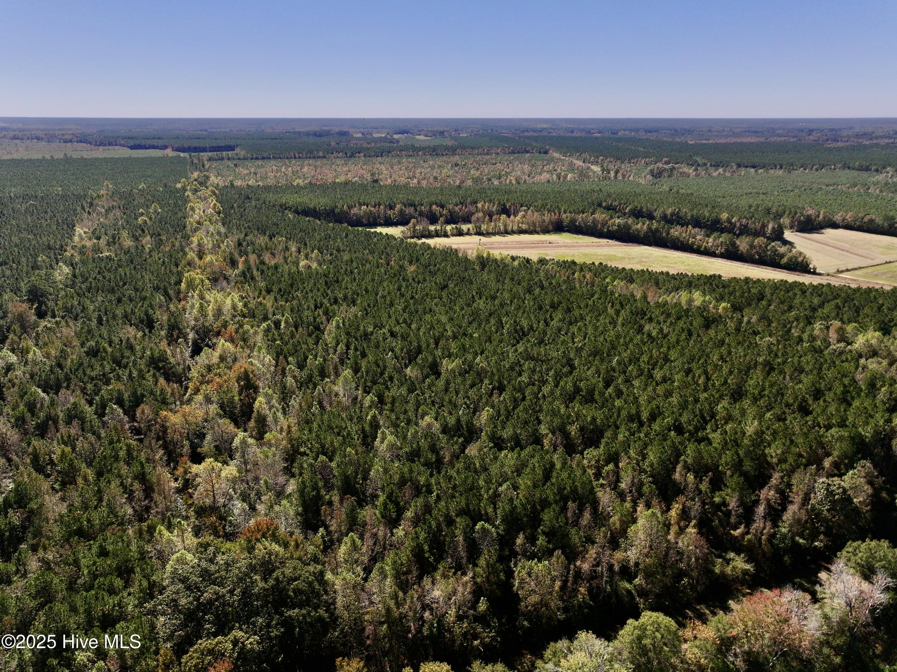 00 Gaskins Road Property Photo 14