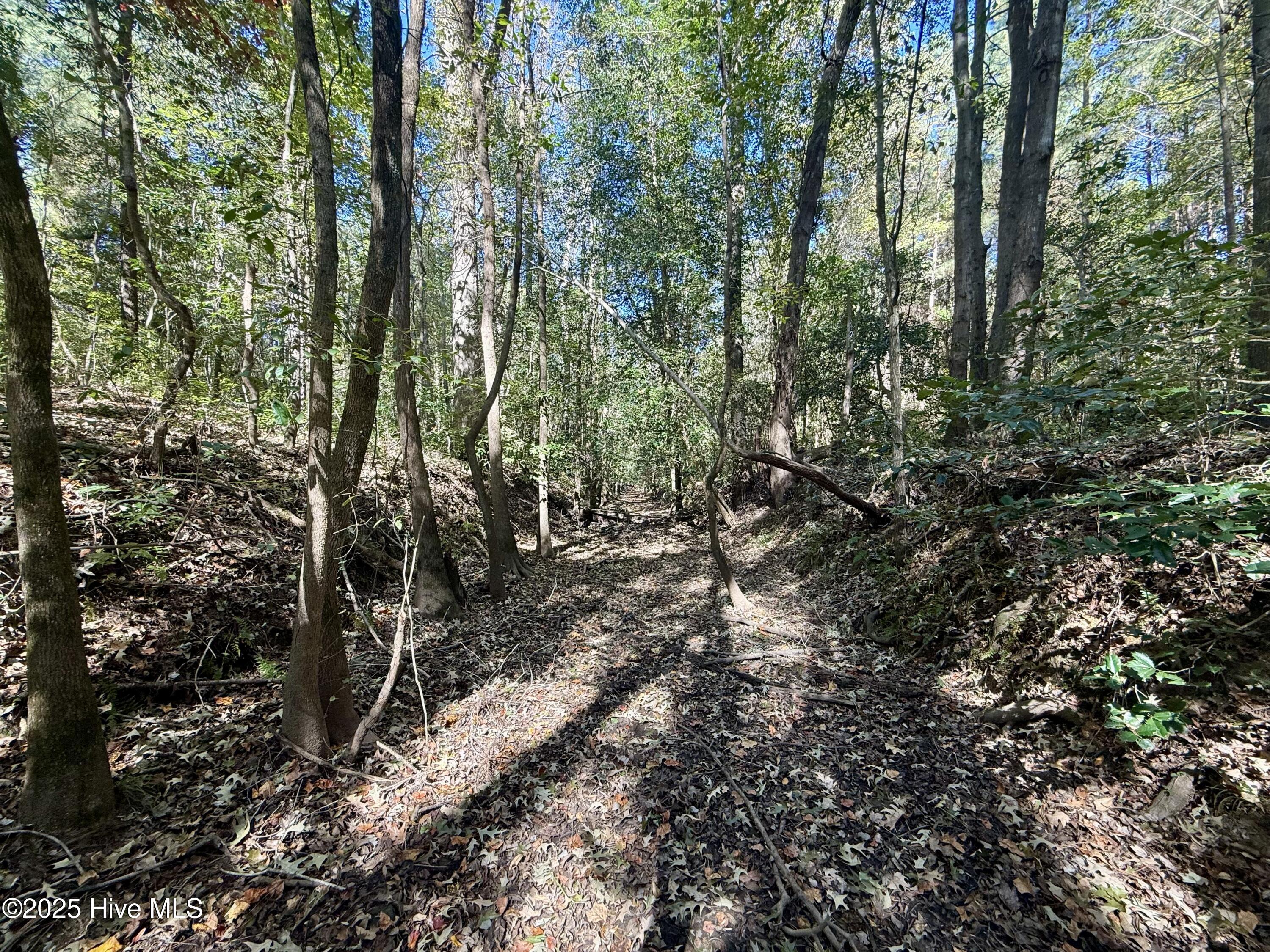 00 Gaskins Road Property Photo 15