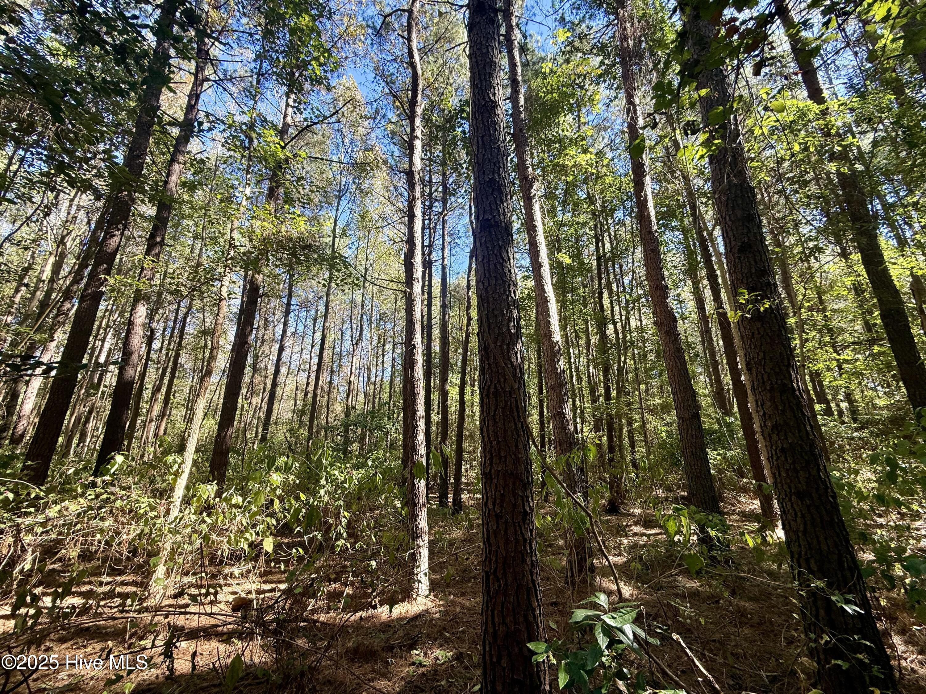 00 Gaskins Road Property Photo 16