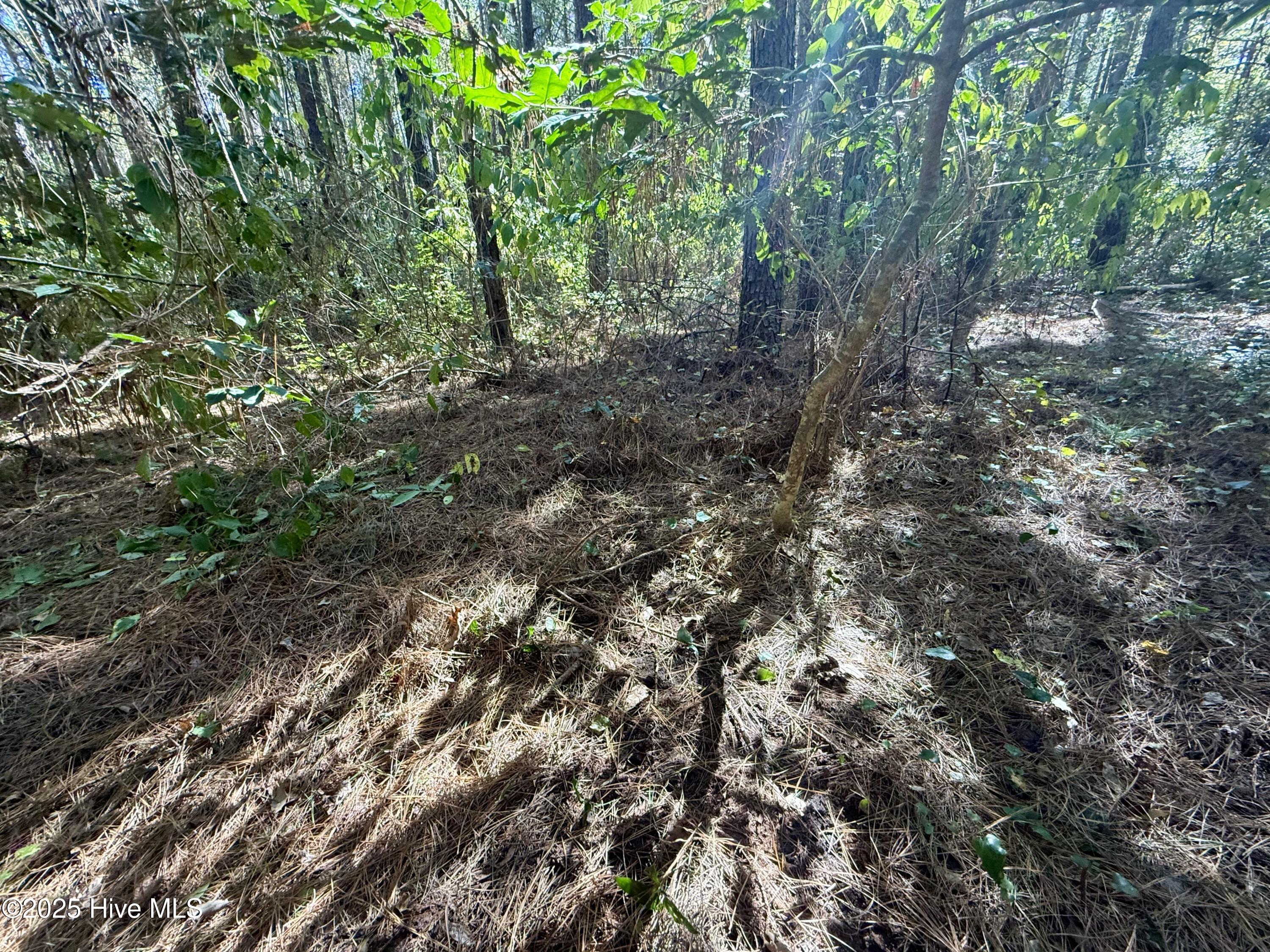 00 Gaskins Road Property Photo 17