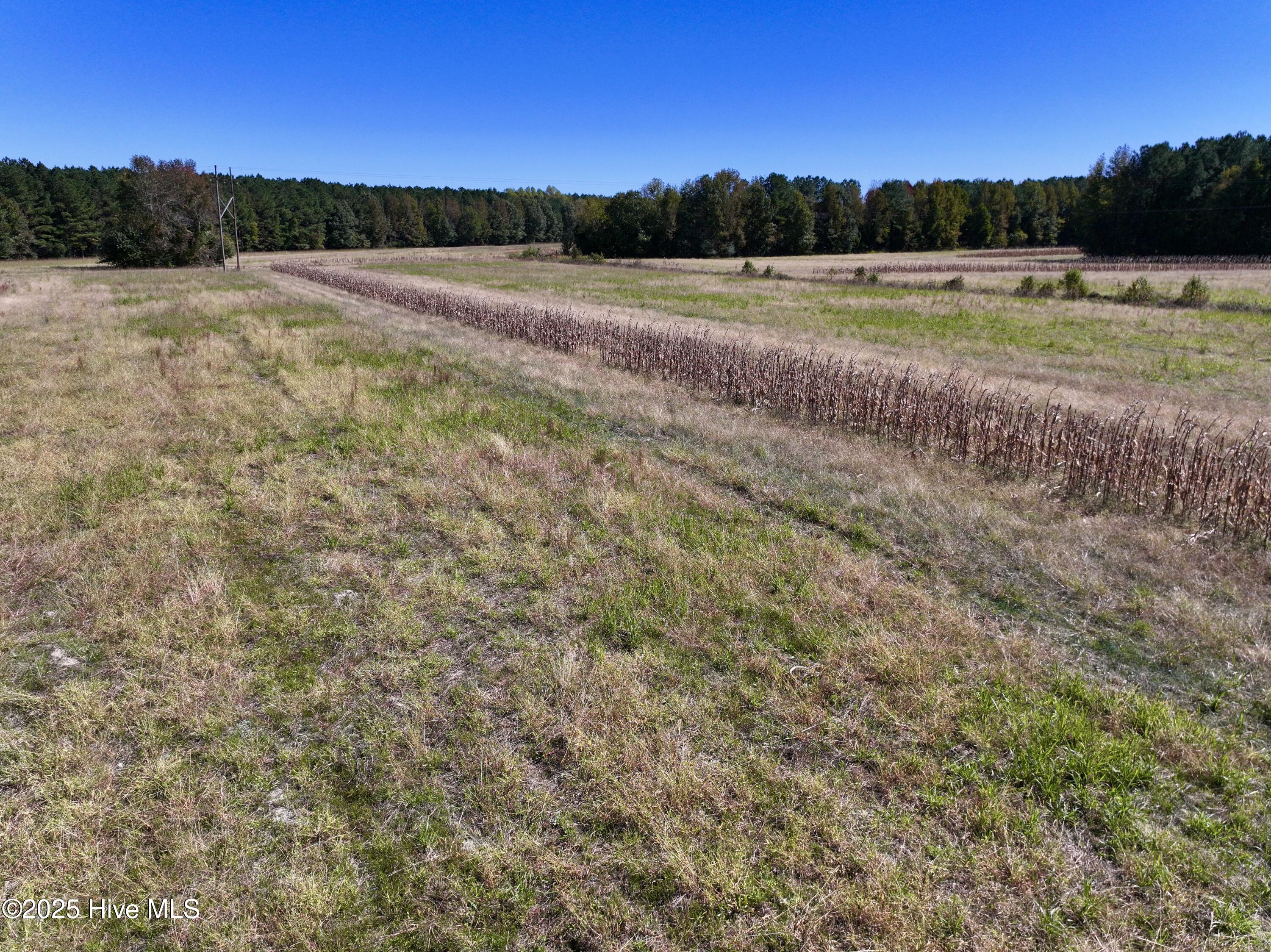 00 Gaskins Road Property Photo 19