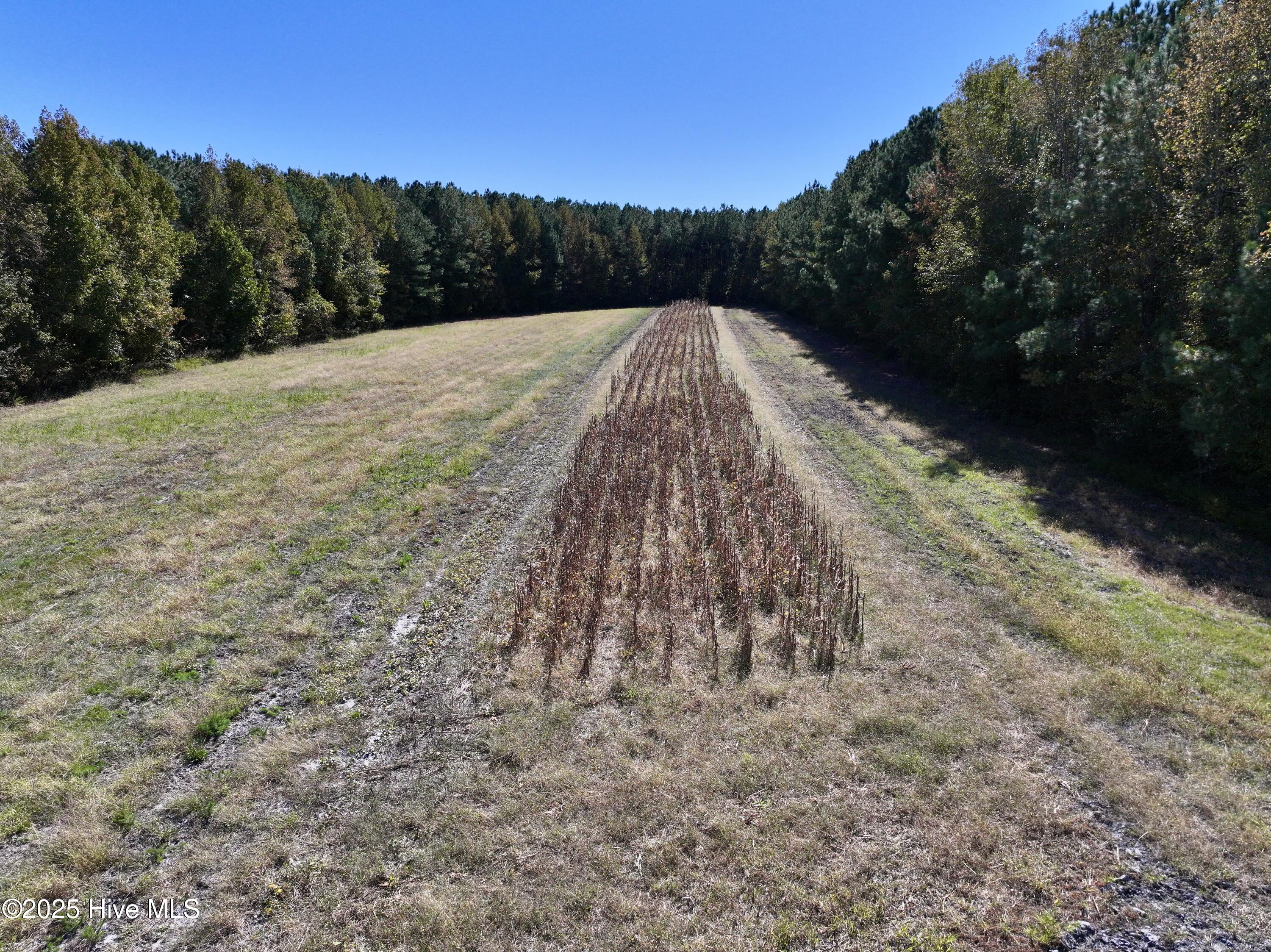 00 Gaskins Road Property Photo 21