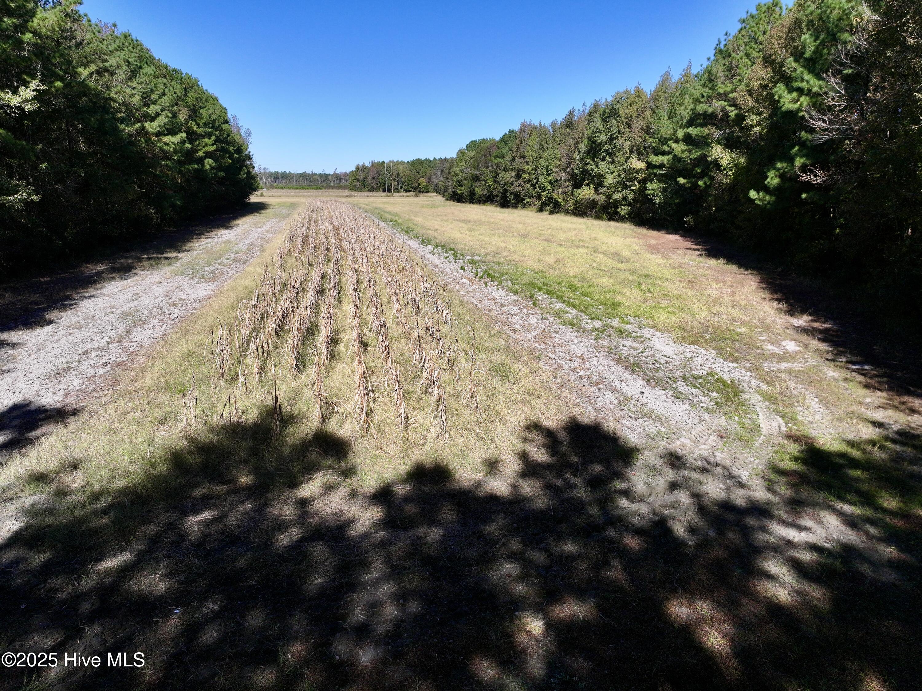 00 Gaskins Road Property Photo 22