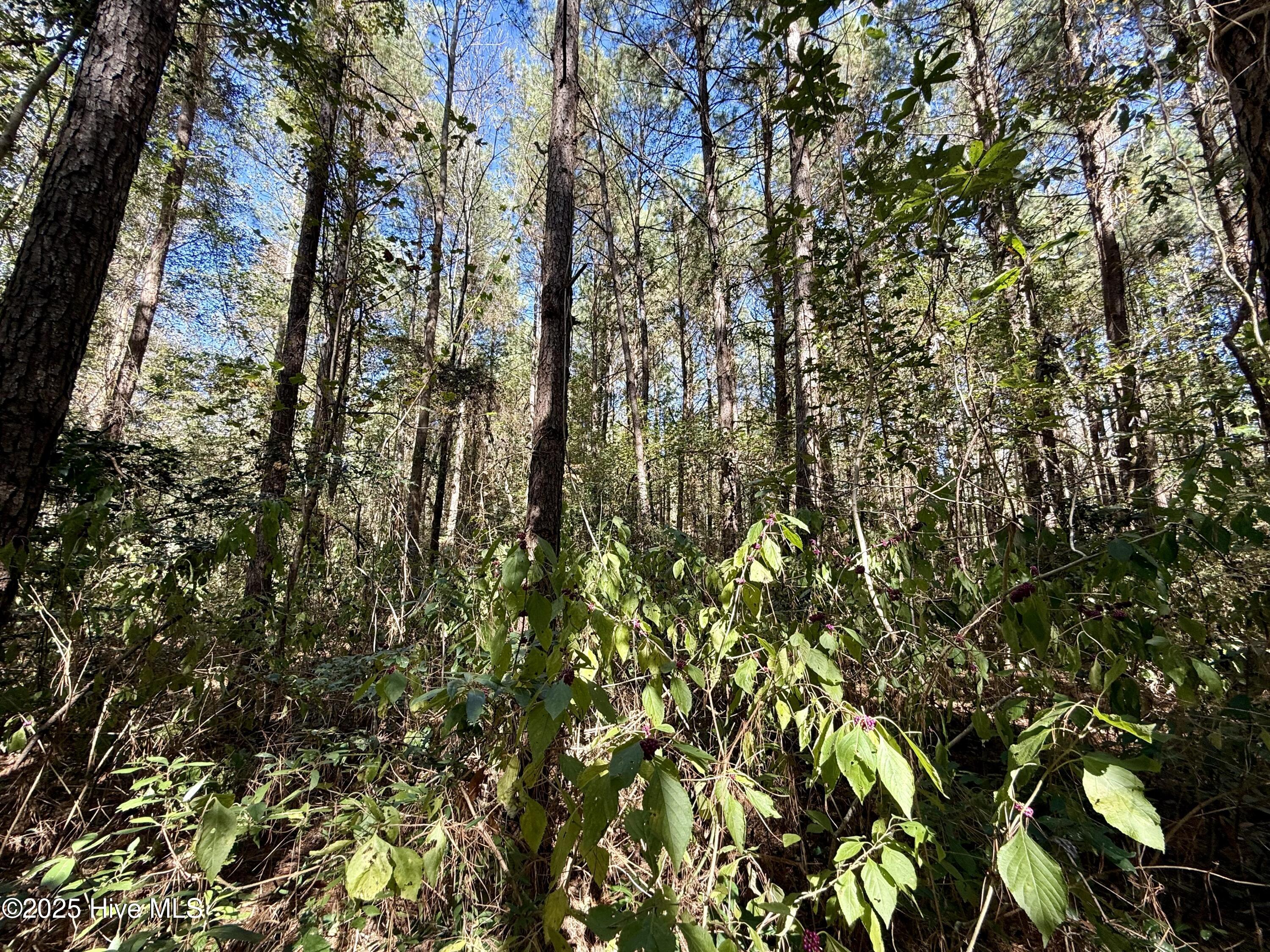 00 Gaskins Road Property Photo 23